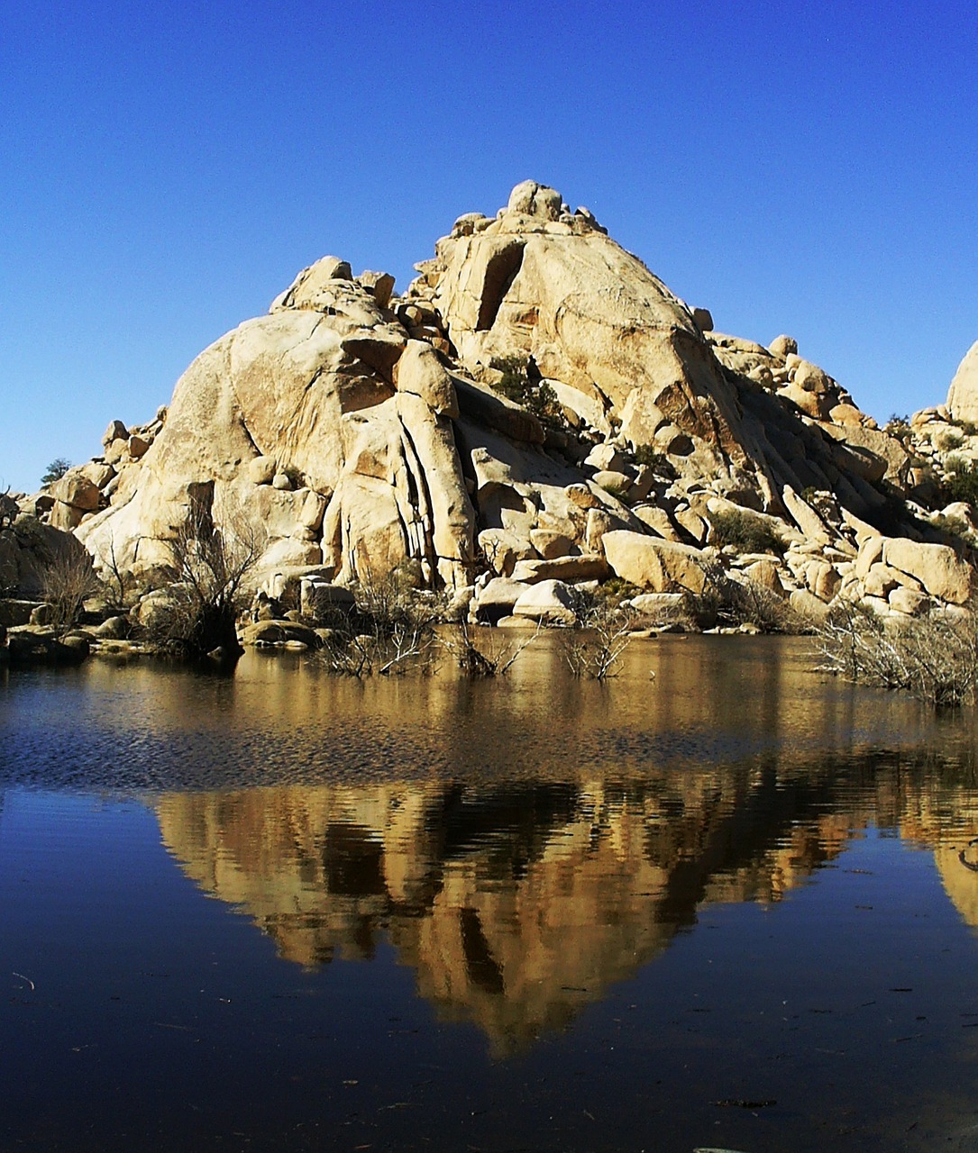 joshua tree national park boulders rocks free photo