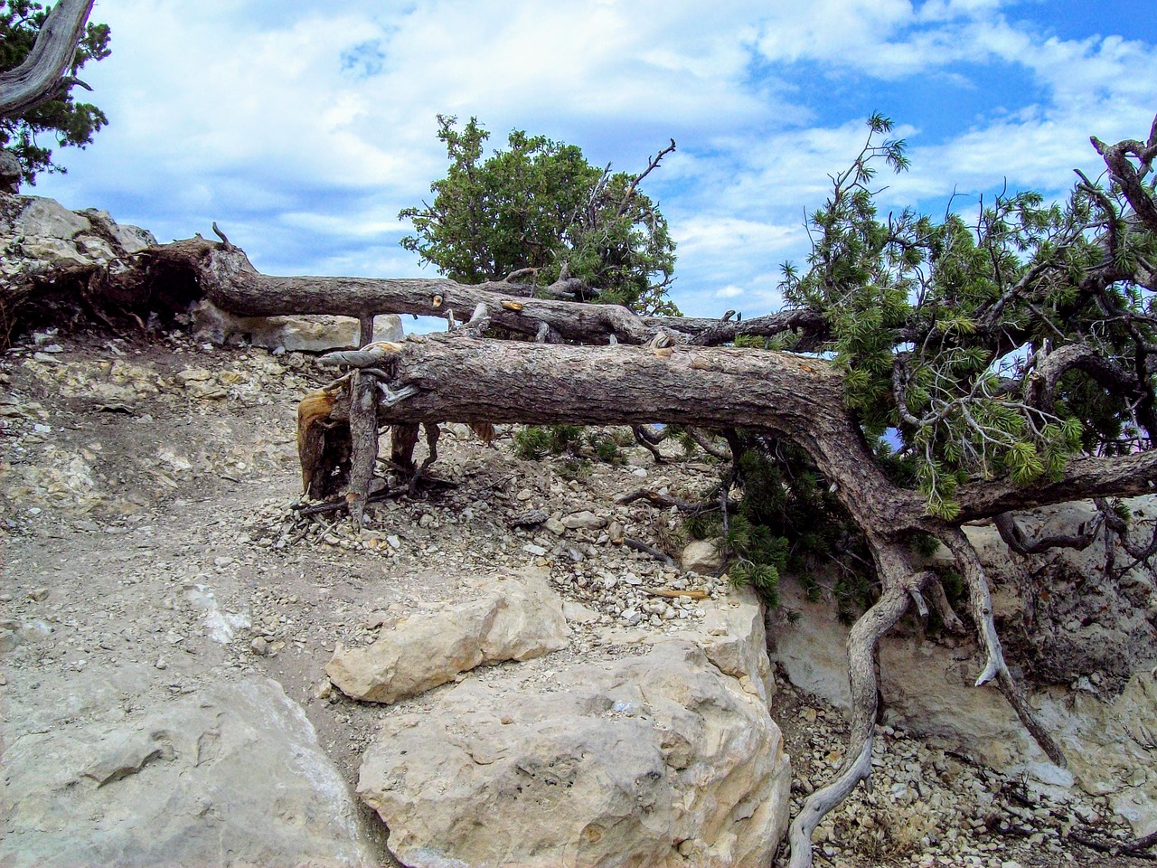 journey grand canyon summer free photo