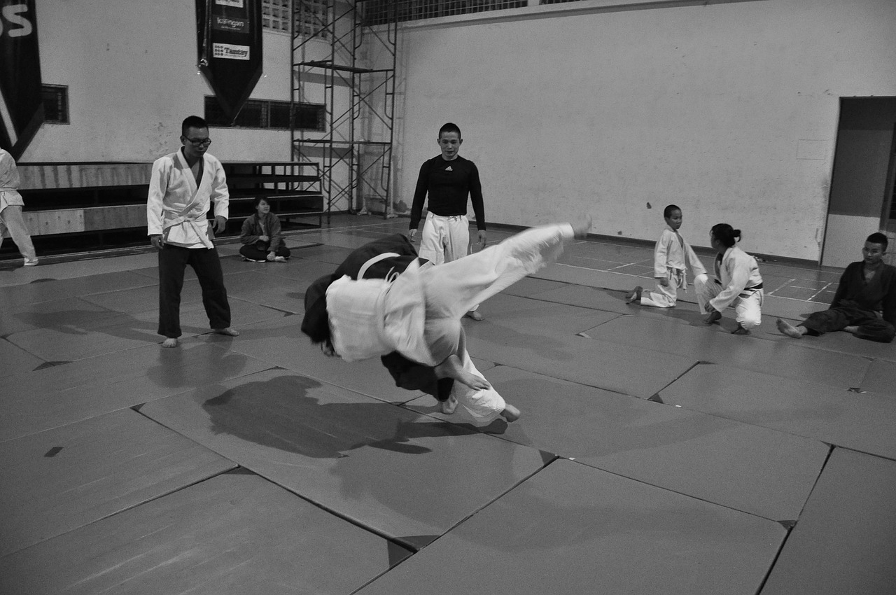 judo martial arts combat free photo