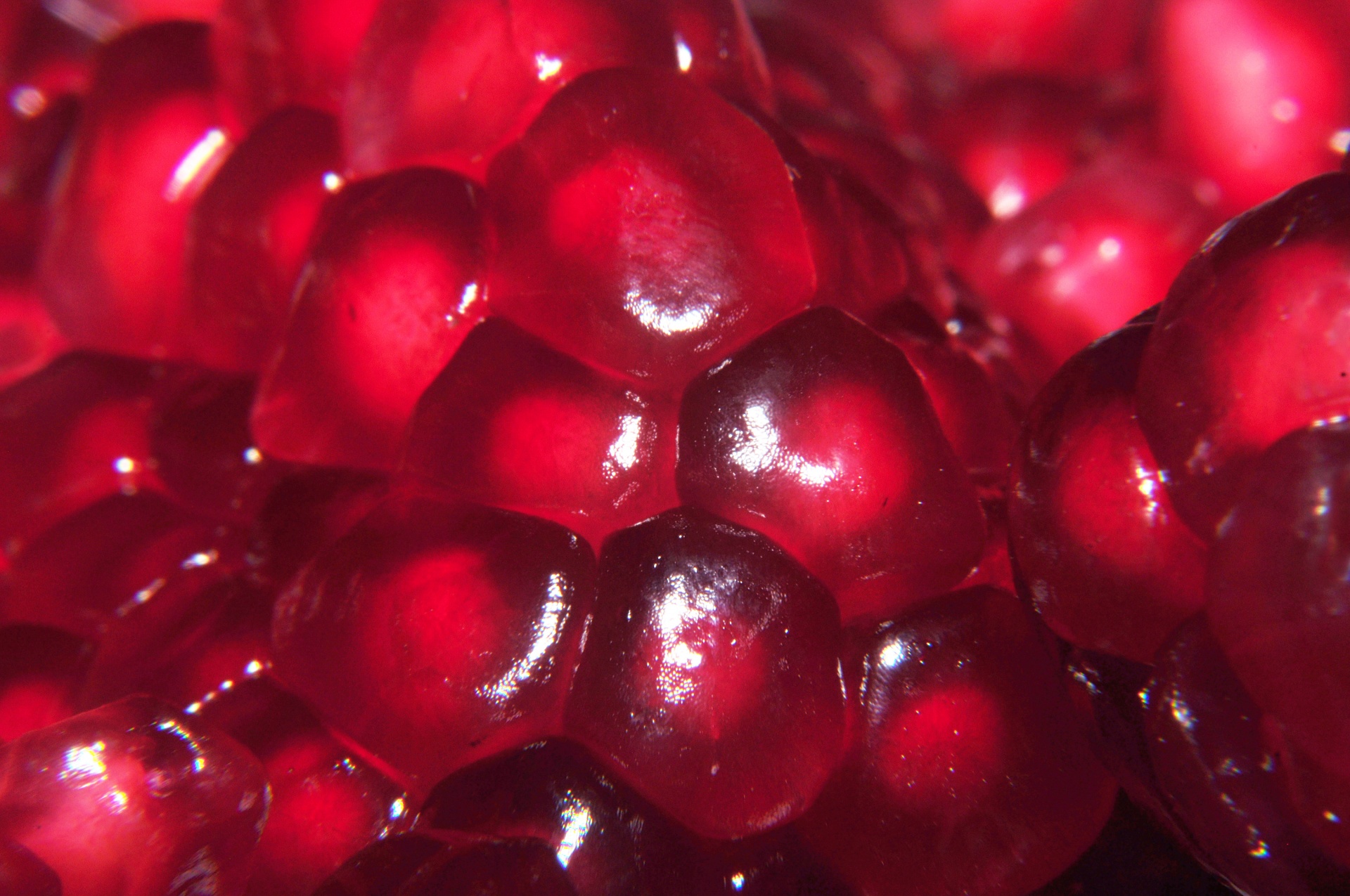 seeds fruit red free photo