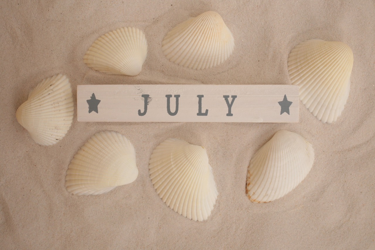 july  sand  seashells free photo