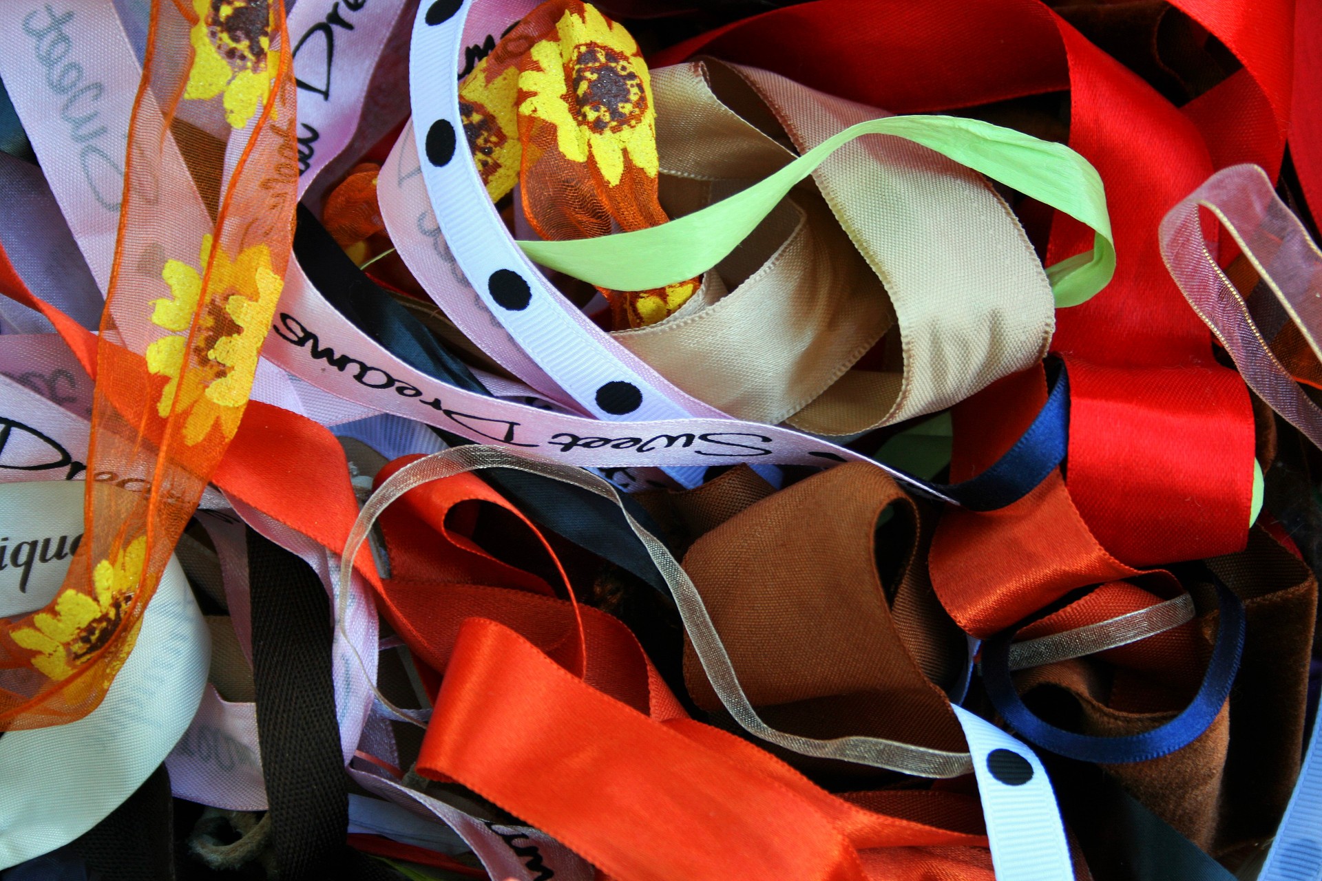 ribbons assorted colours free photo