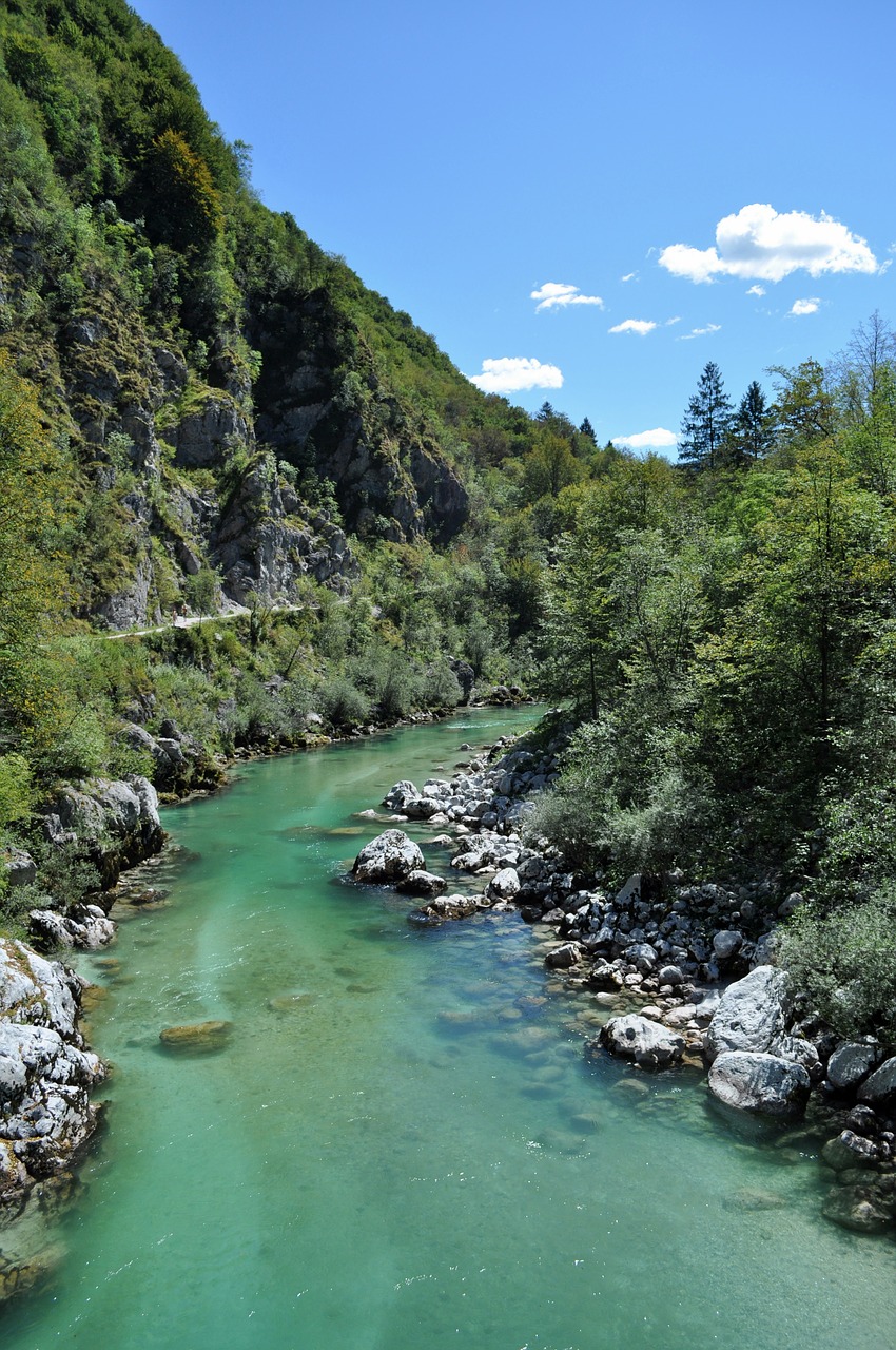 jumbo slovenia river free photo