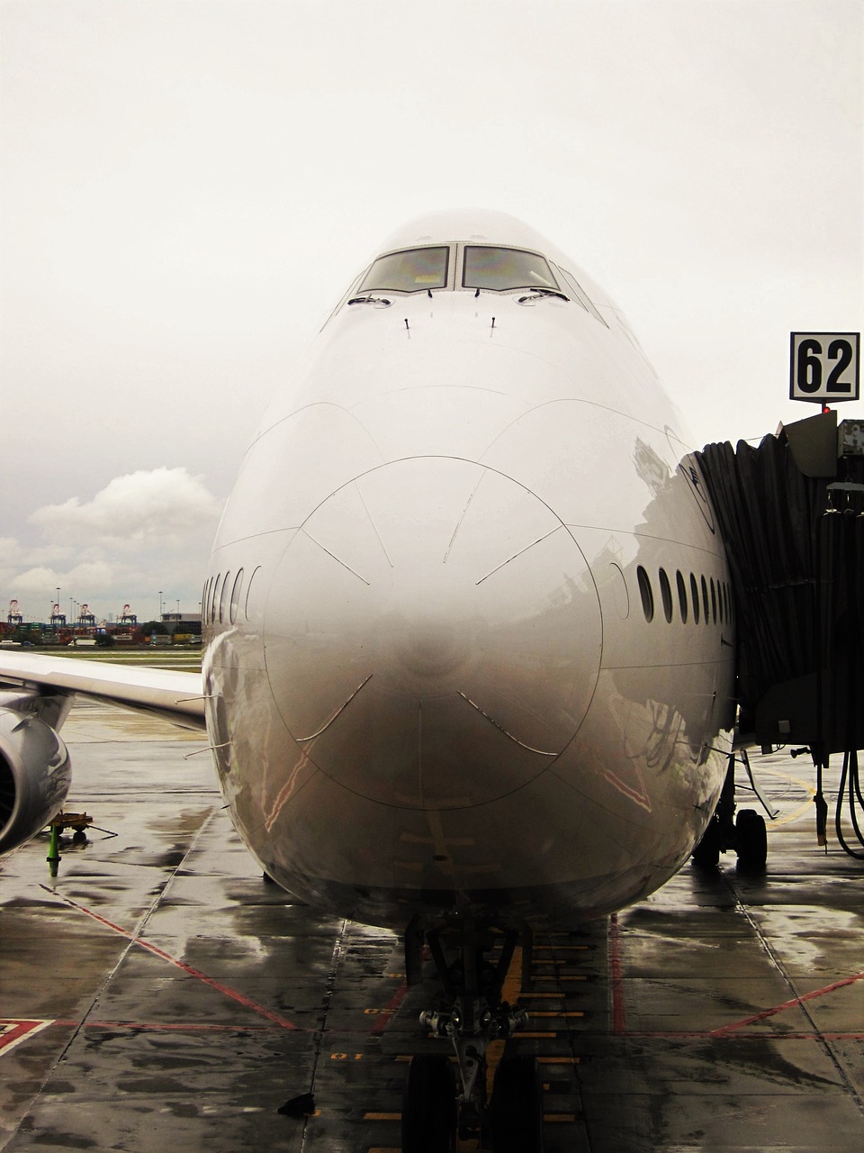 jumbo jet docked lufthansa 747-830 lower saxony free photo