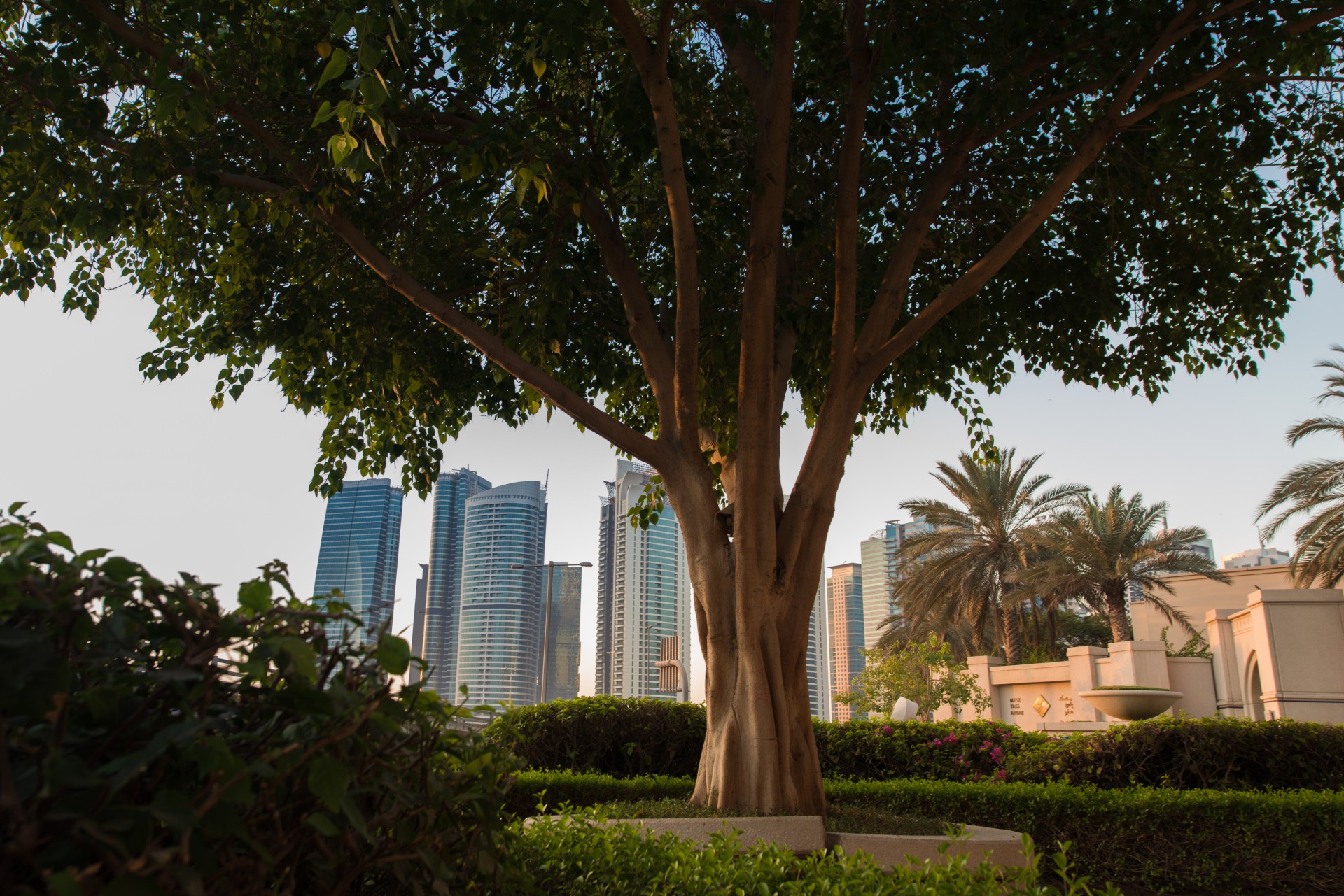 skyscrapers dubai jumeirah lake towers free photo