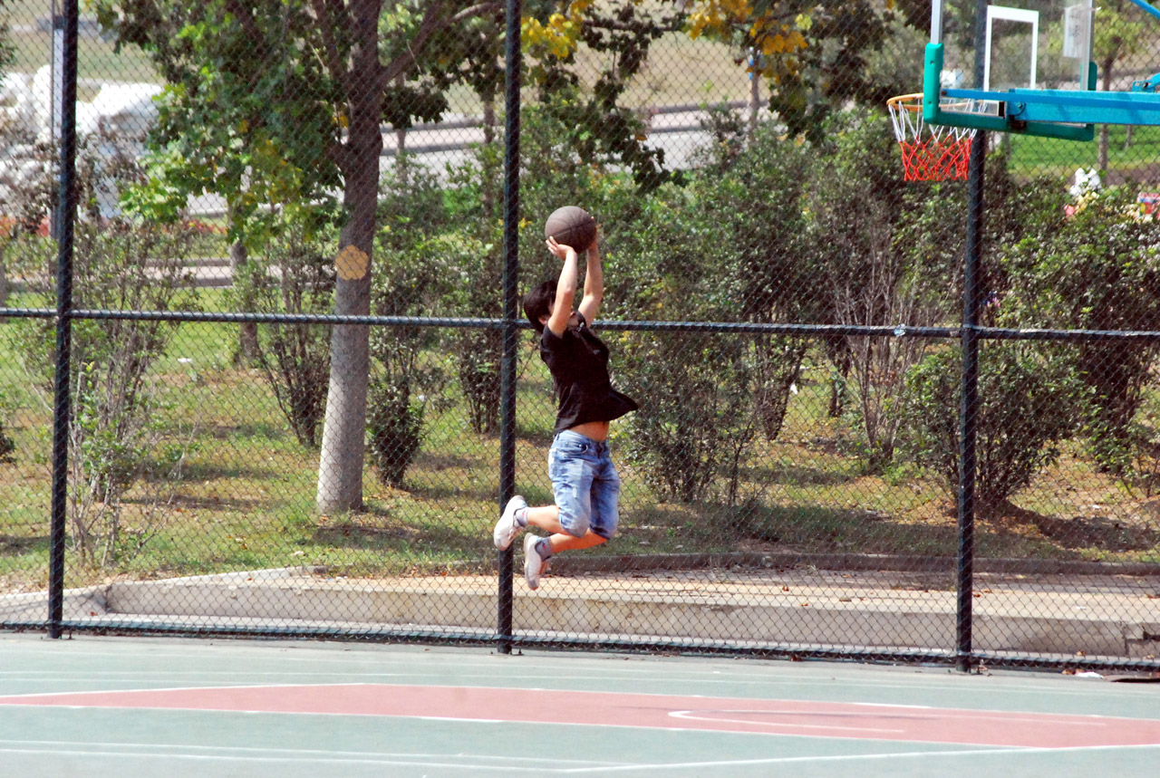 basketball shooting shoot free photo