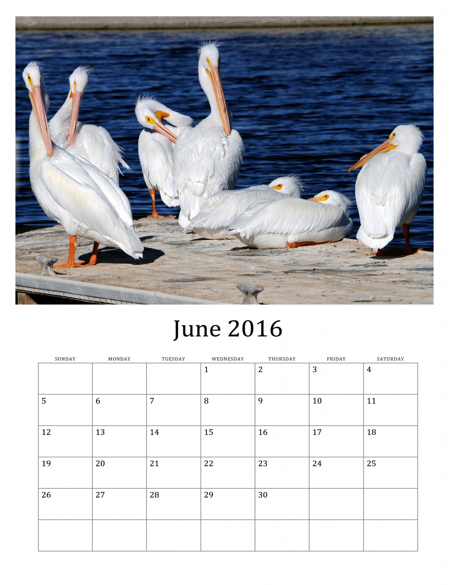 2016 2016 calendar 2016 monthly calendar free photo