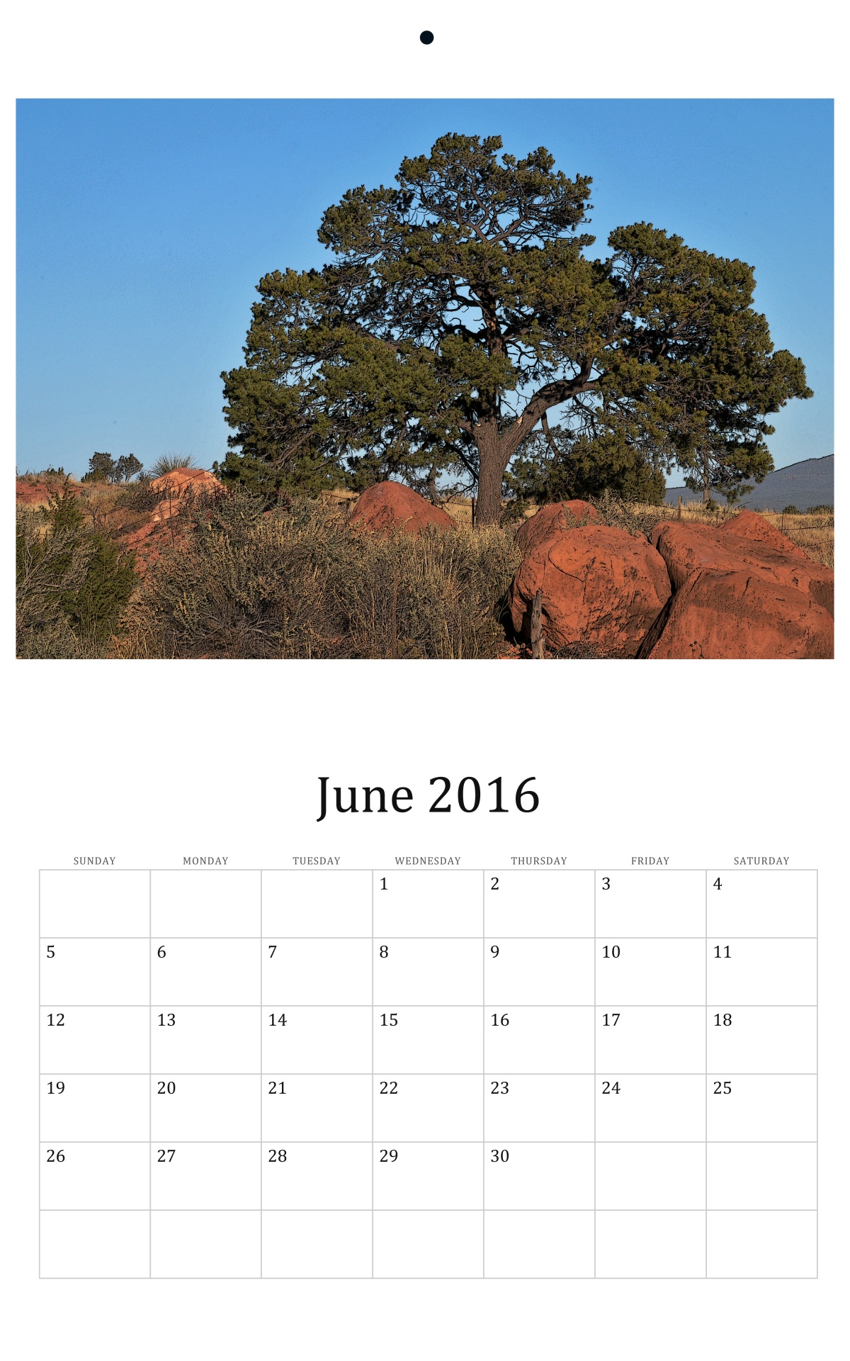 2016 2016 calendar june free photo