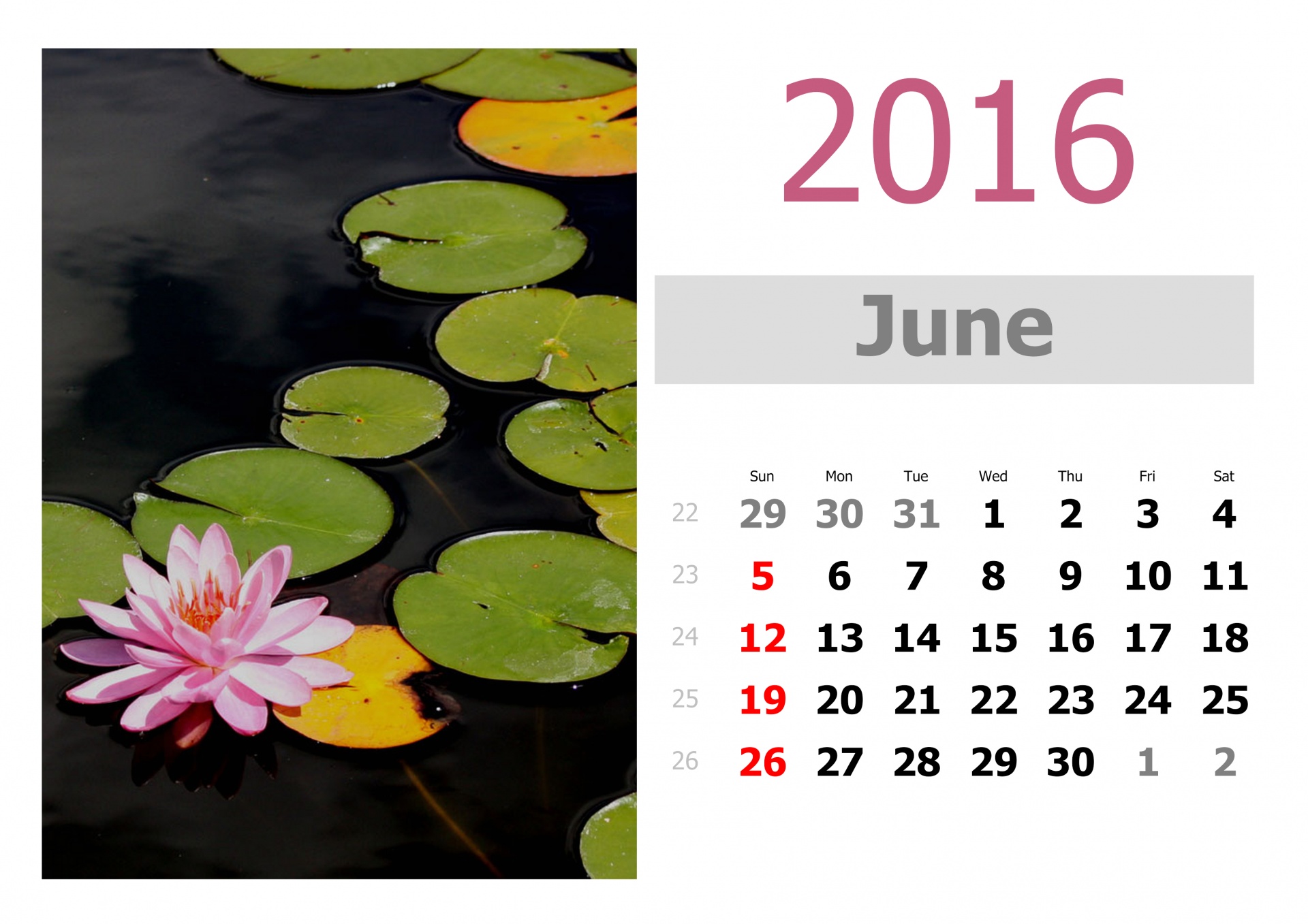 2016 calendar may free photo