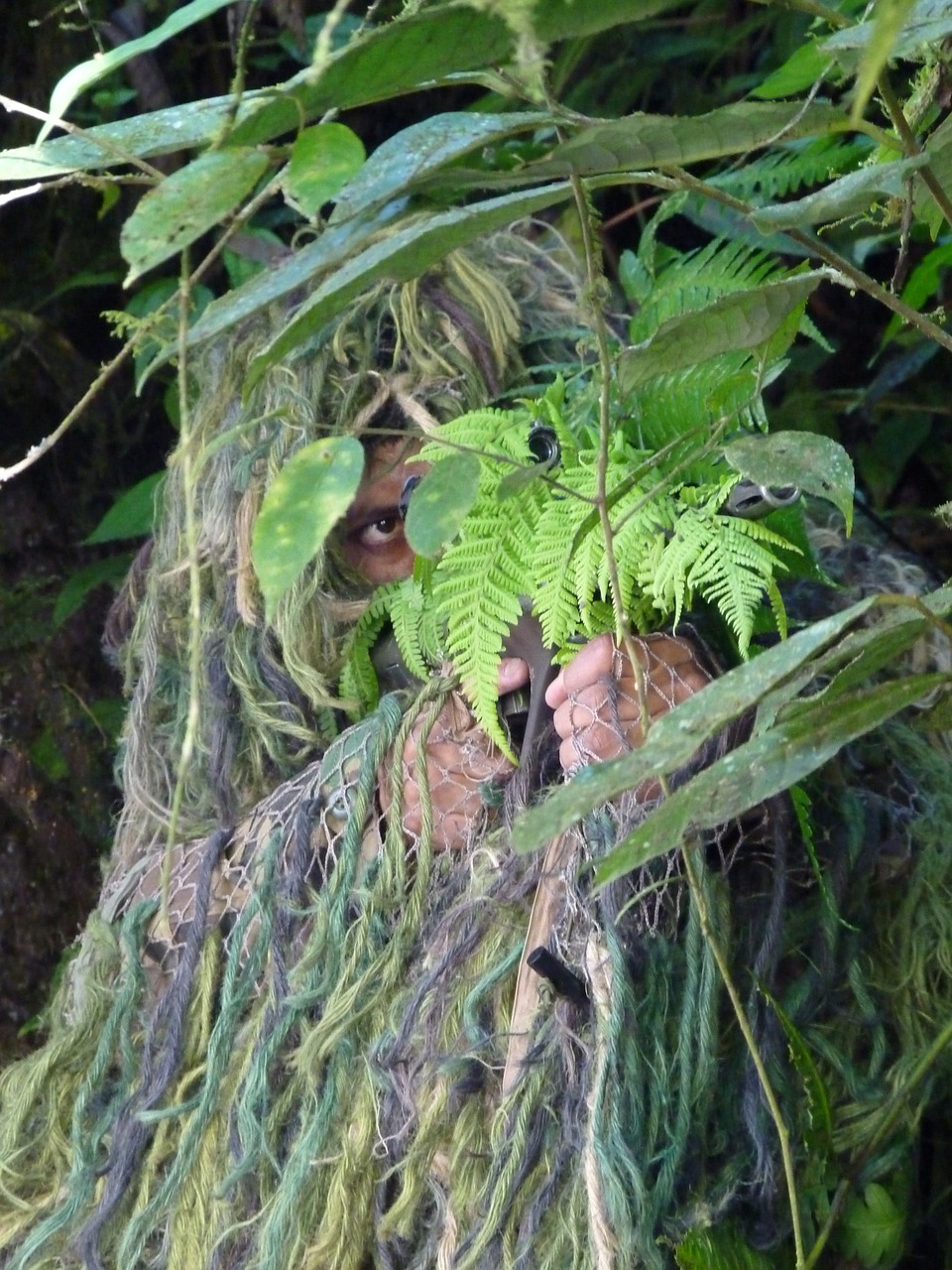 camouflage jungle operations free photo
