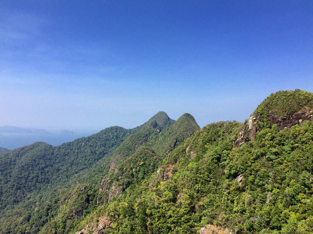 jungle langkawi mountains free photo