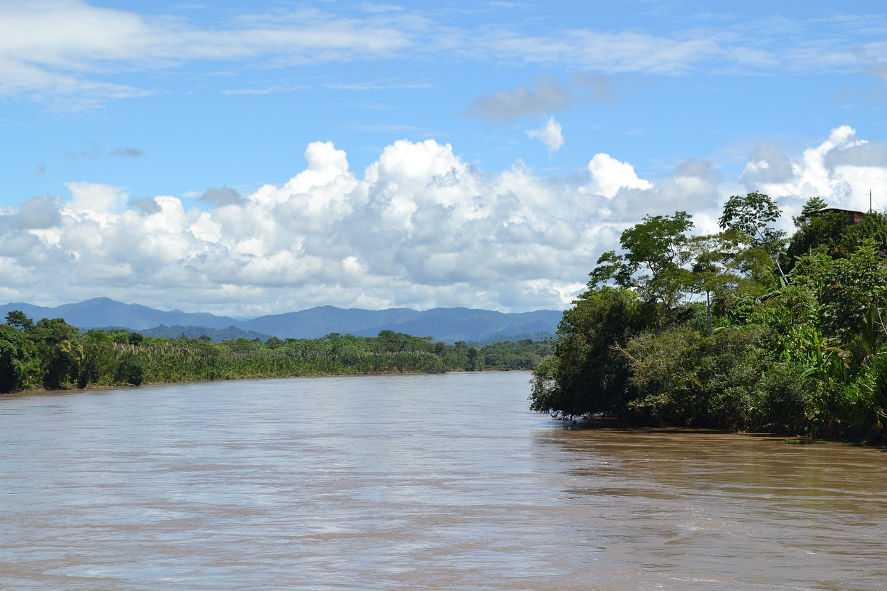 jungle peru river free photo