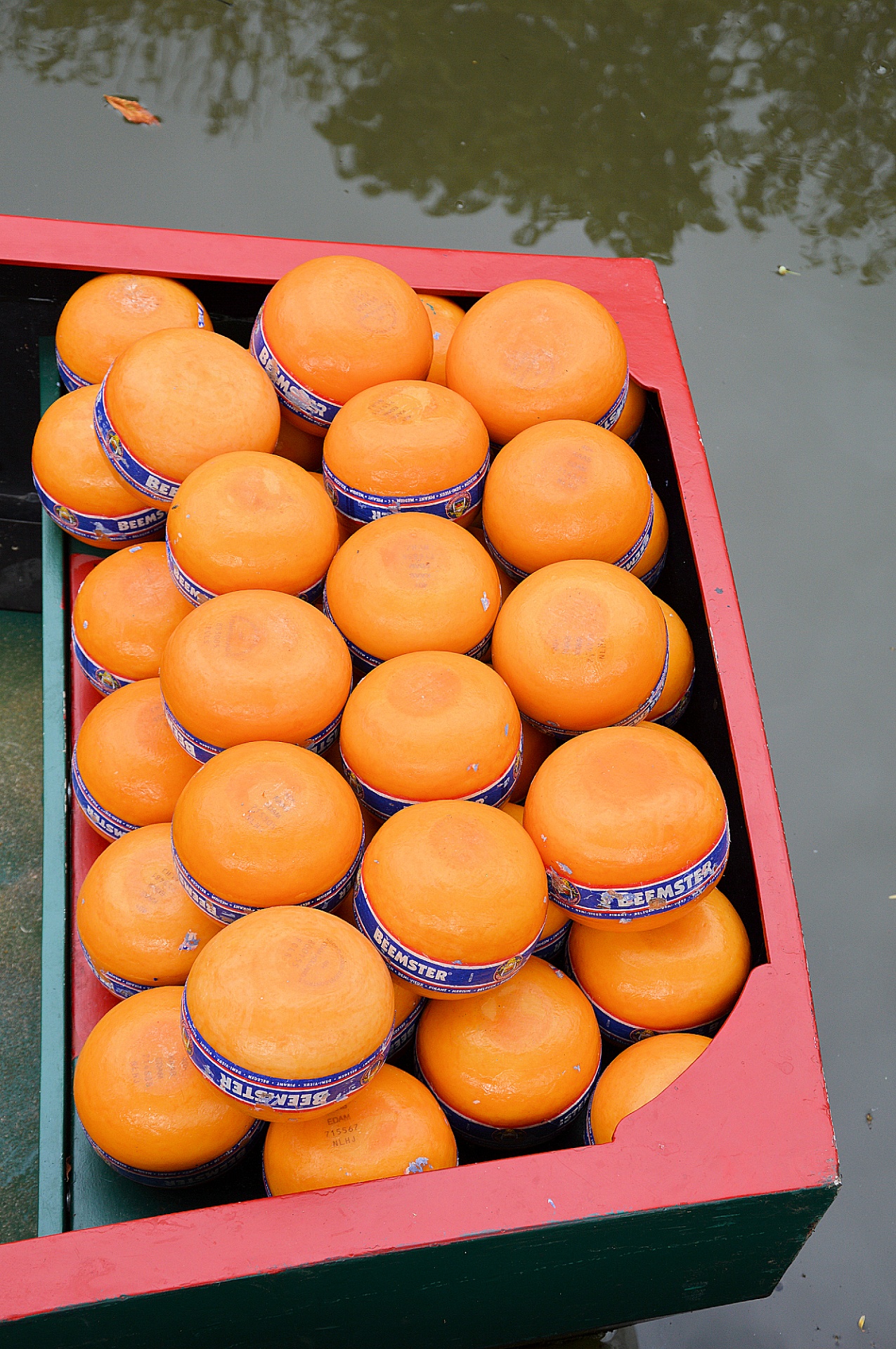 cheese market edam history free photo