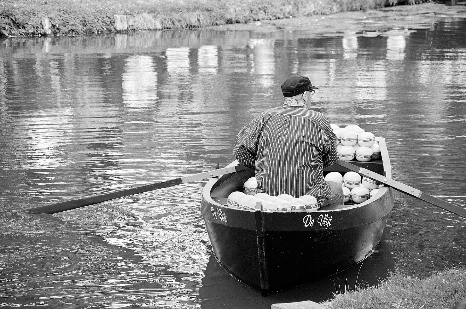 cheese market edam free photo