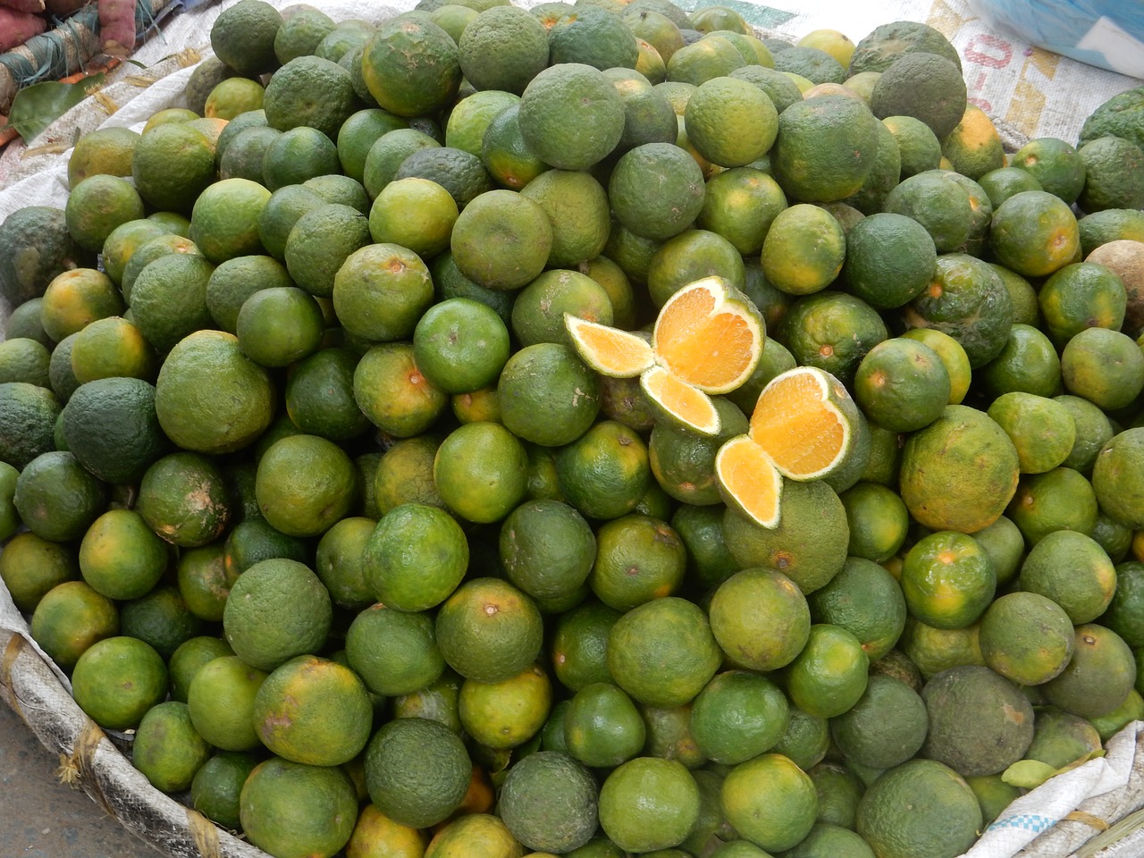 kalamansi  lime  fruit free photo