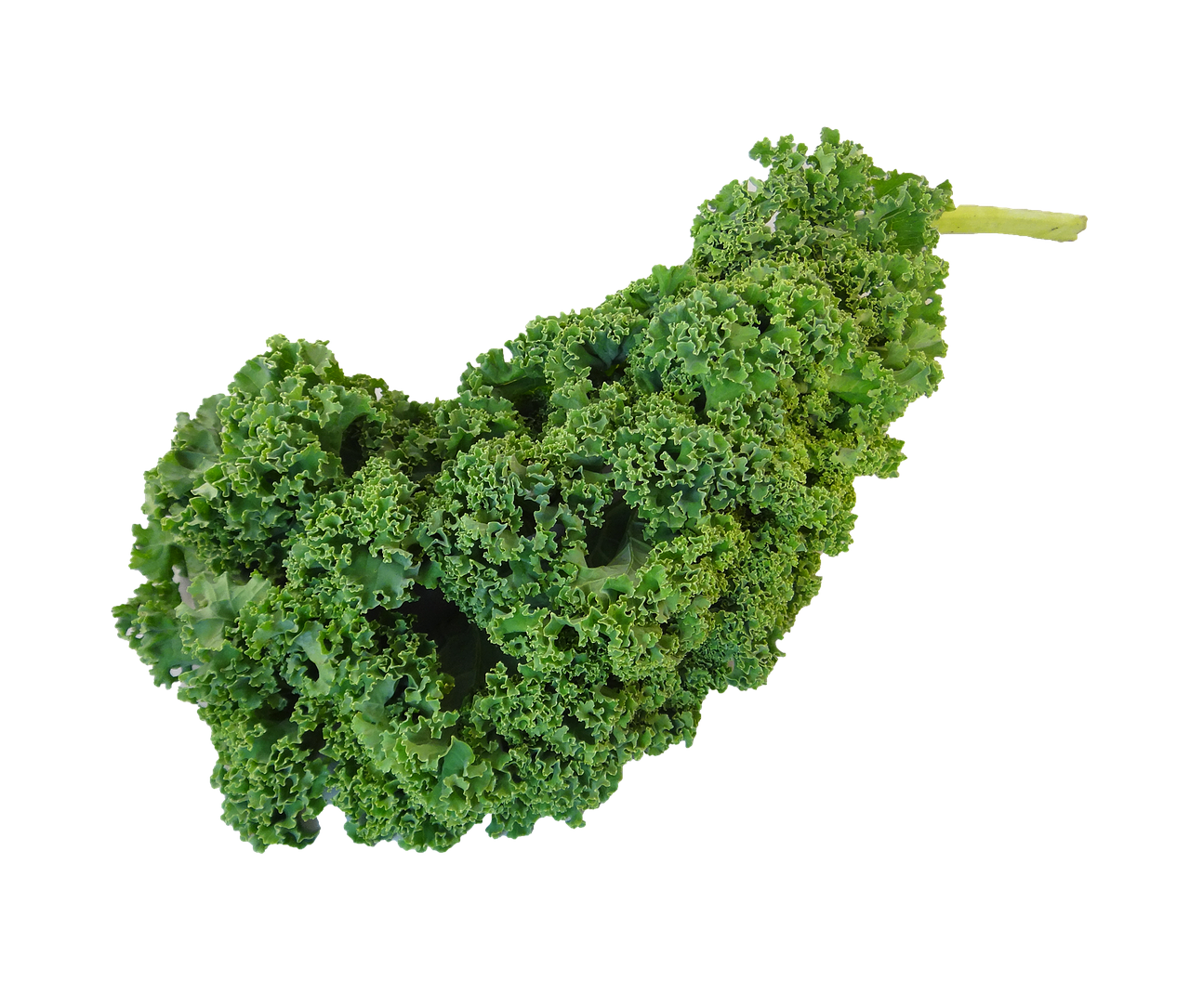 kale green kale vegetable free photo