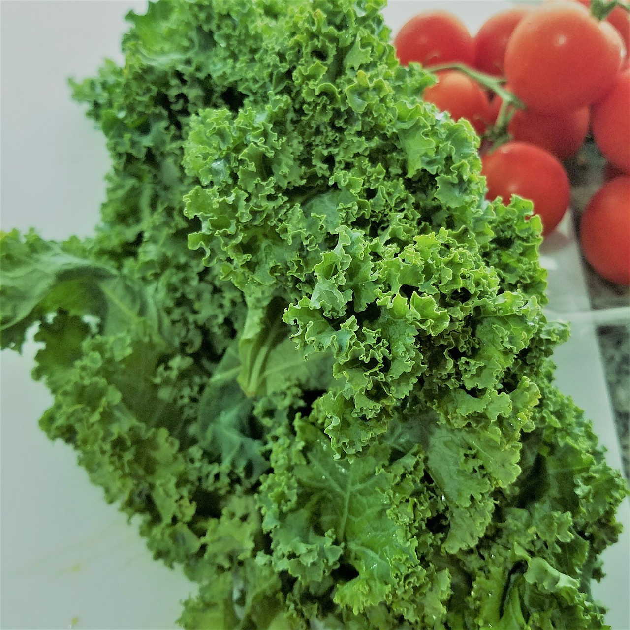 kale salad fresh free photo