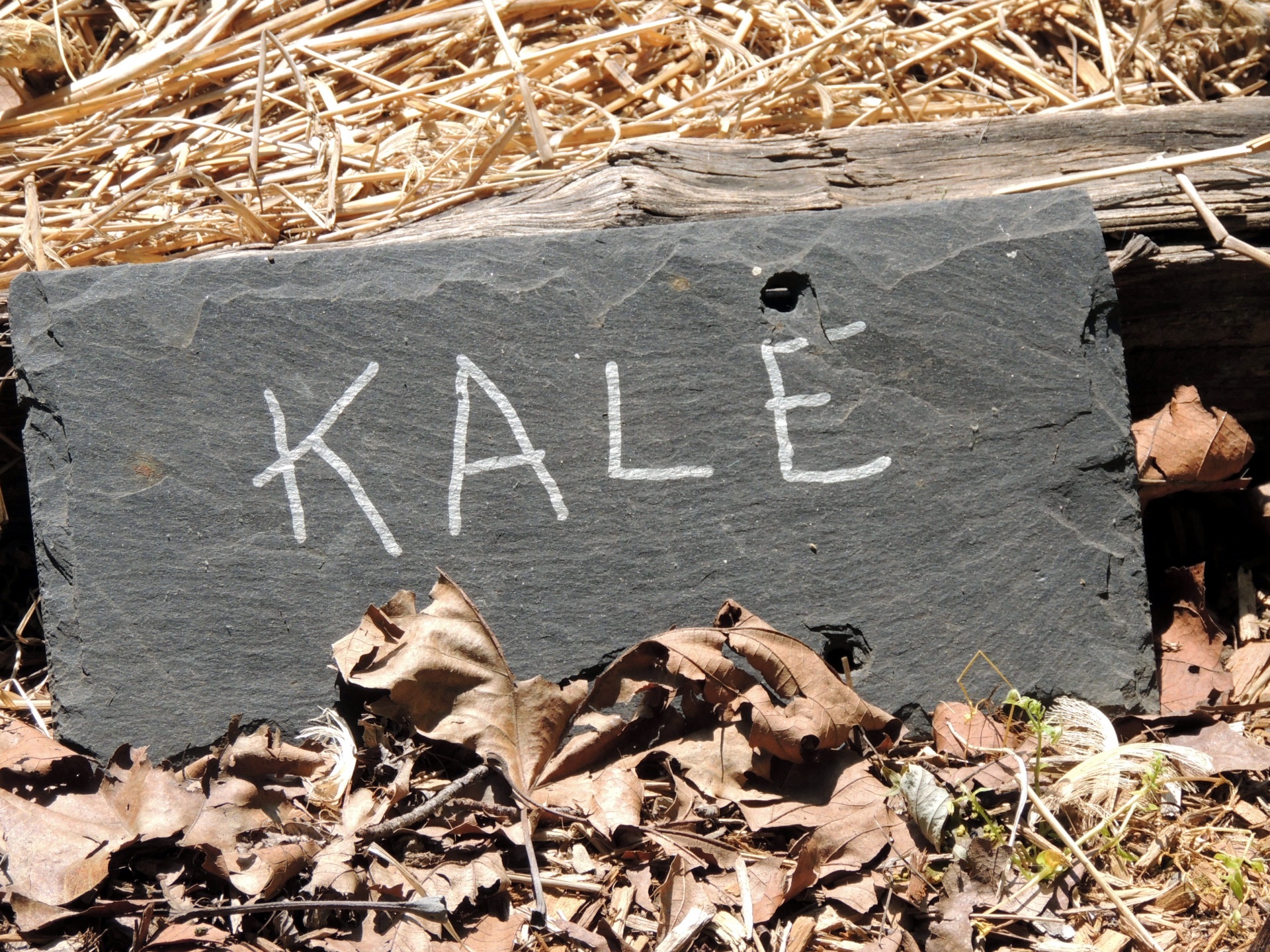 kale garden sign free photo