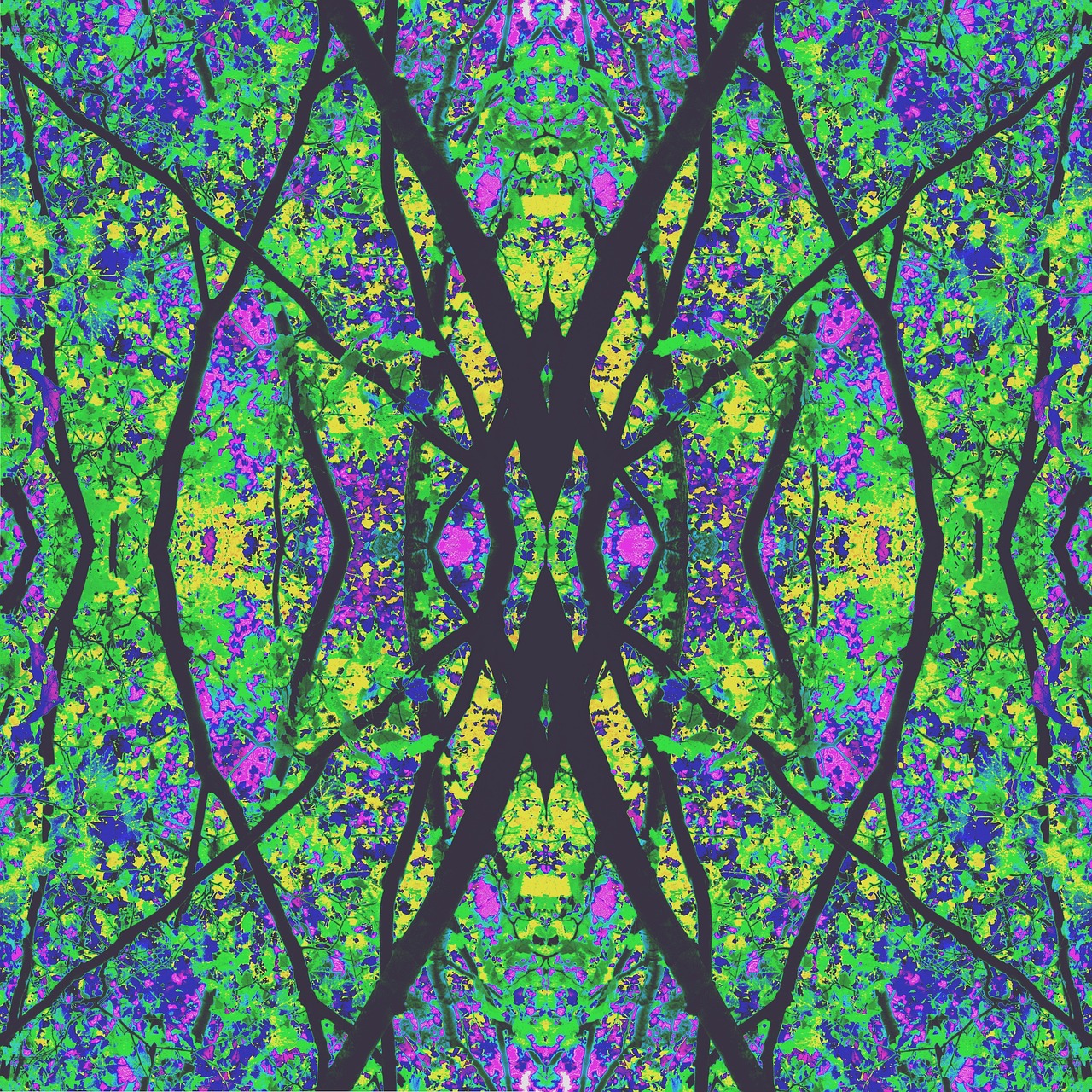 kaleidoscope tree colors free photo