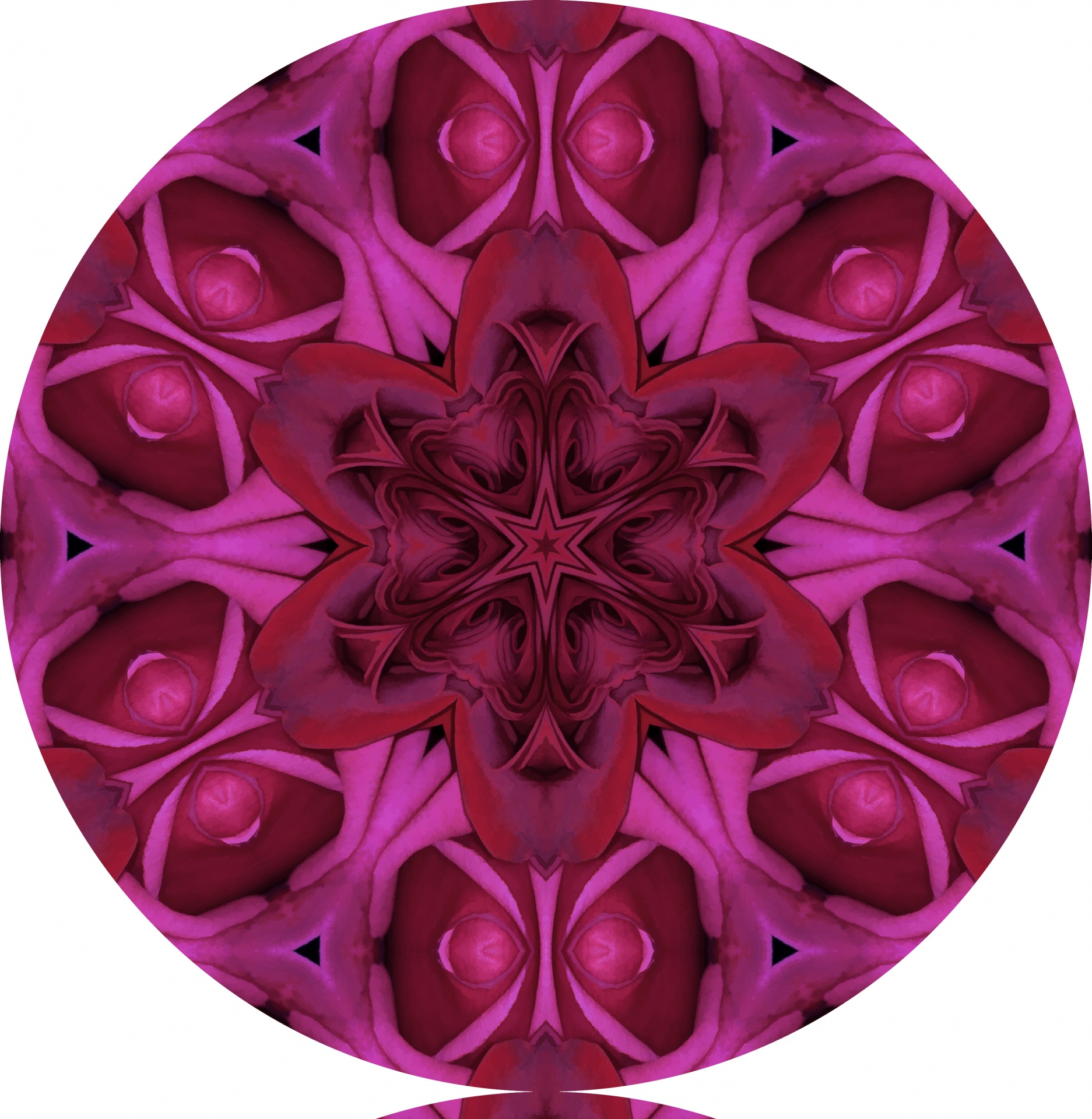 kaleidoscope pattern rose free photo