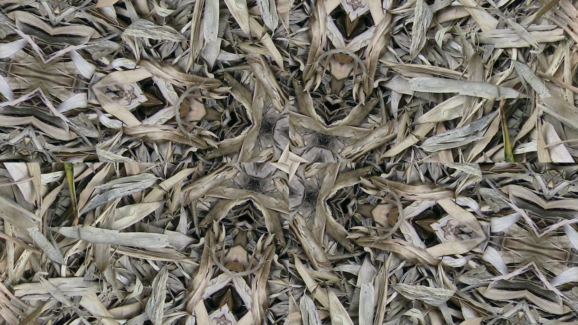 wallpaper background kaleidoscope free photo