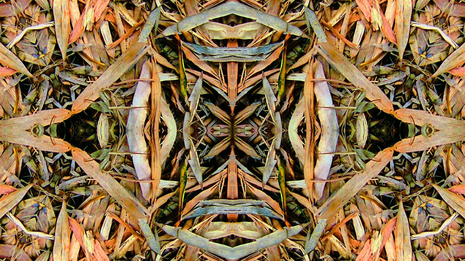 wallpaper background kaleidoscope free photo