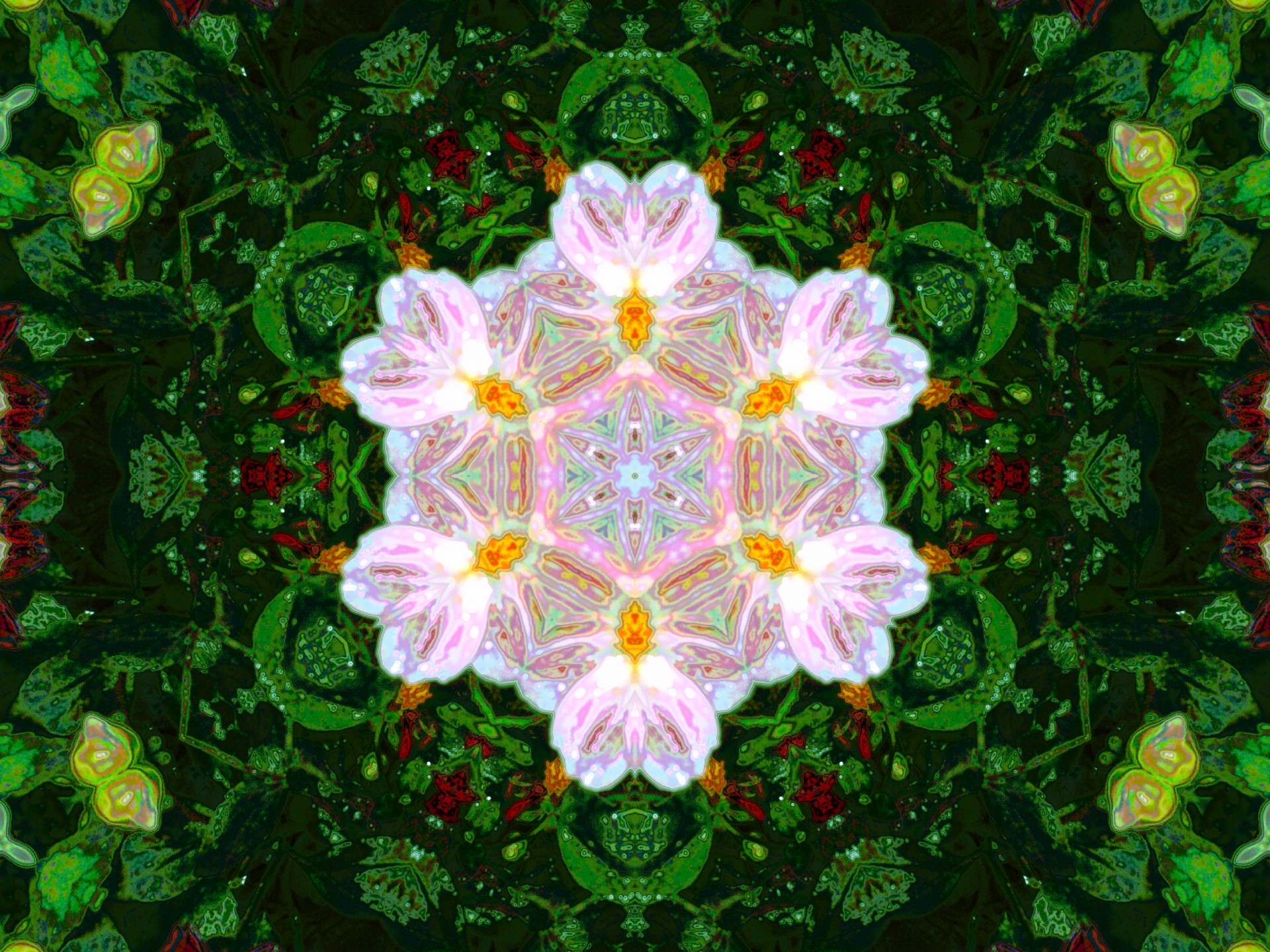 astronira graphic mandala free photo