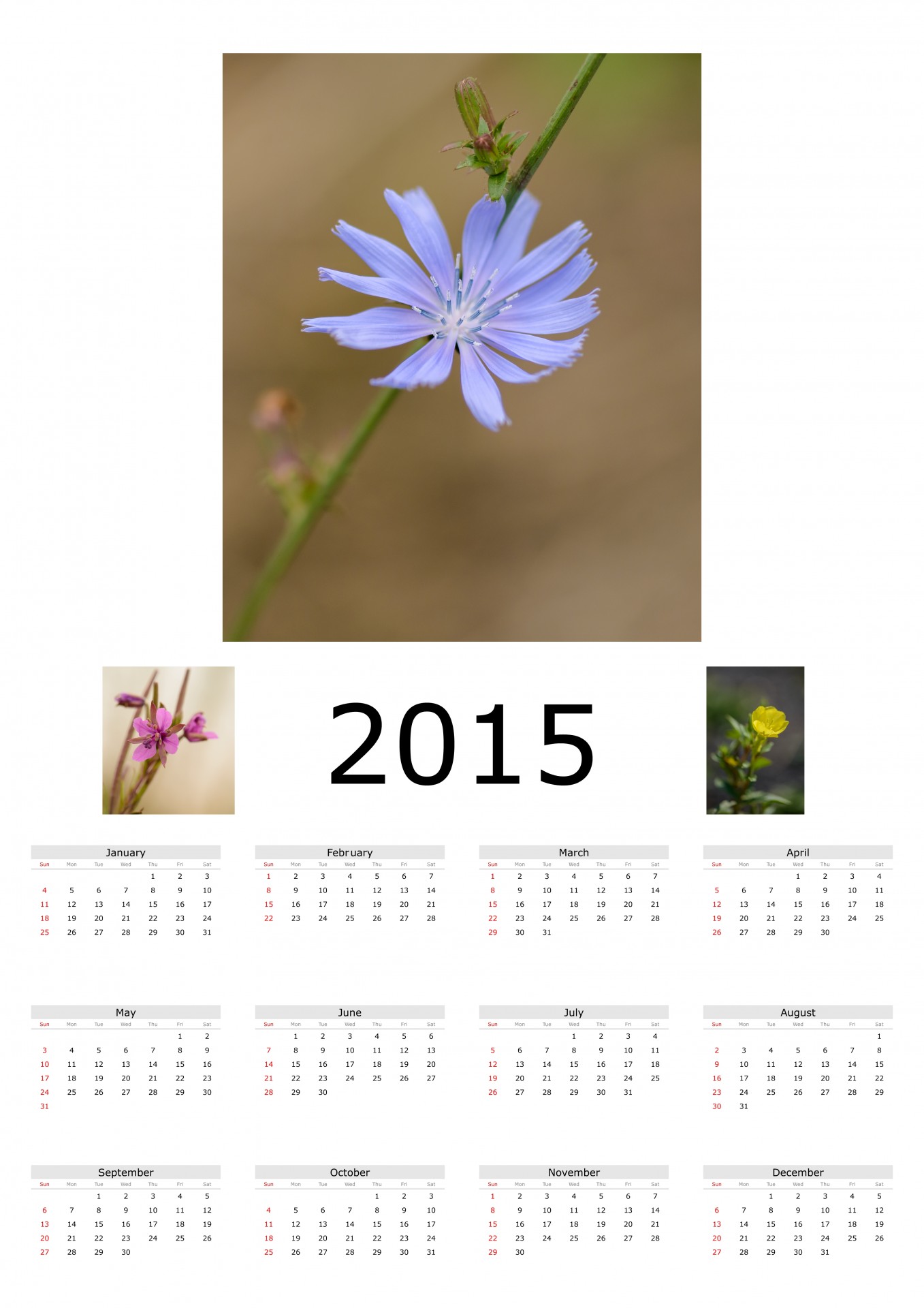 calendar year days free photo