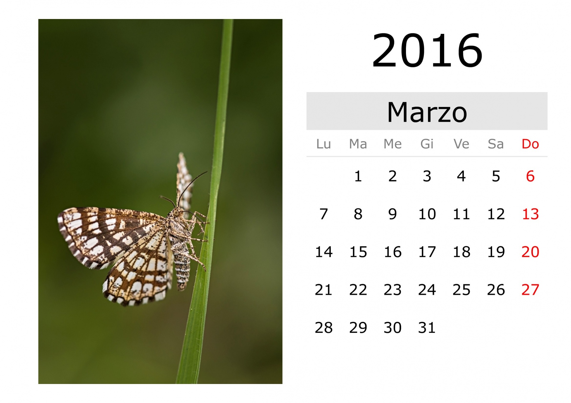 March 2016. Март 2016. Календарь бабочка. March Calendar.