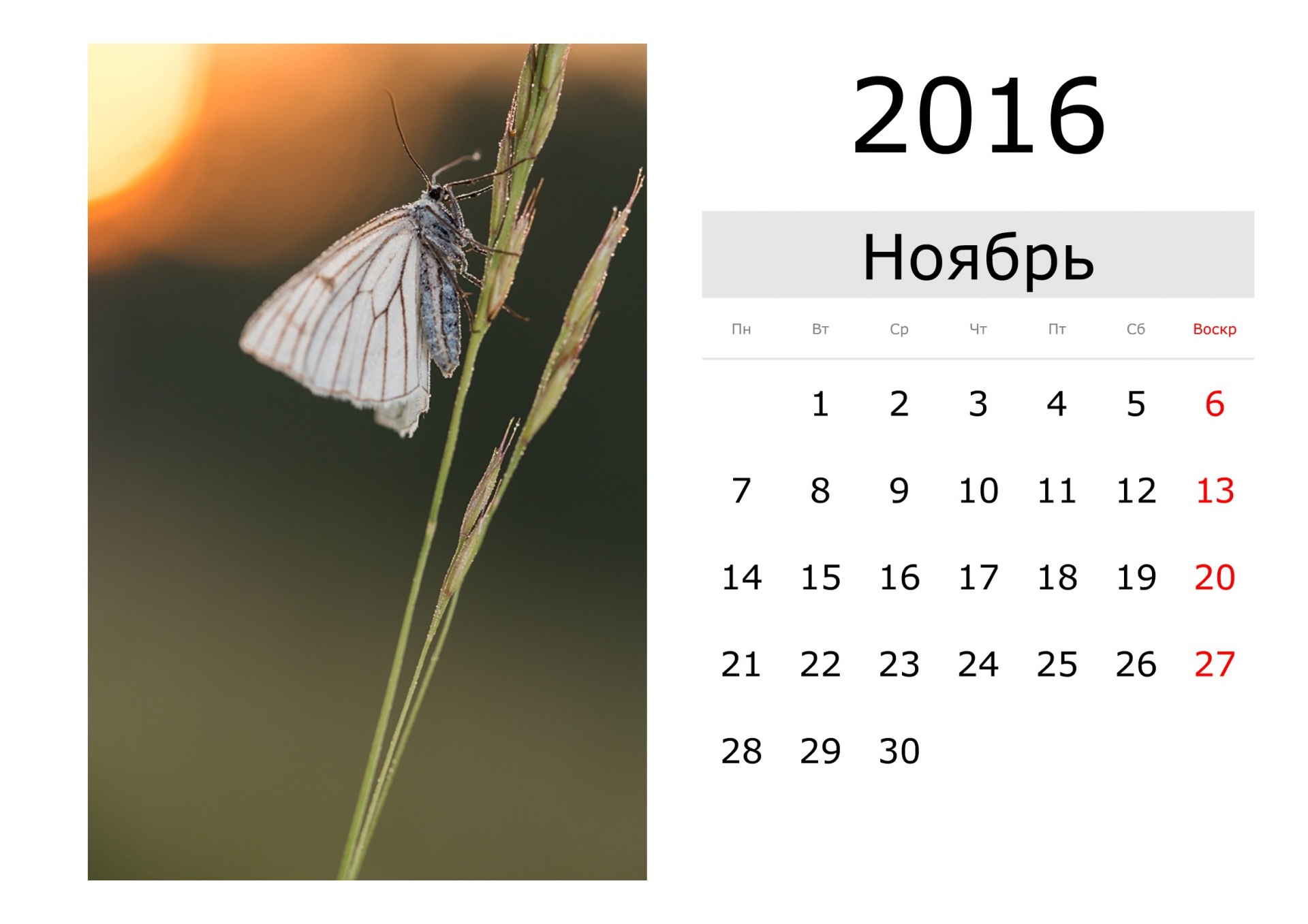 calendar holiday names free photo