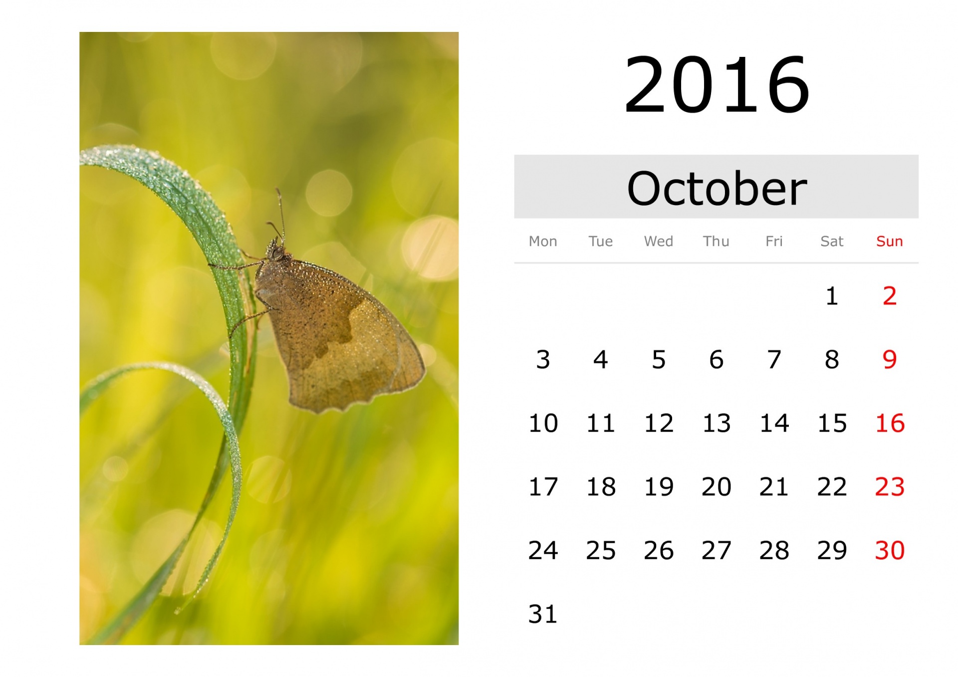 calendar holiday names free photo