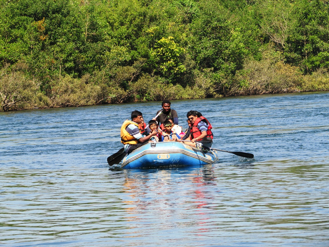 kali river dandeli india free photo