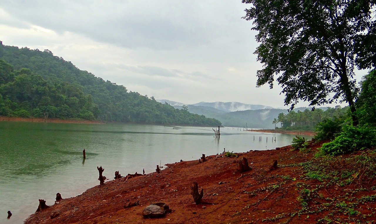 kali river western ghats forests free photo
