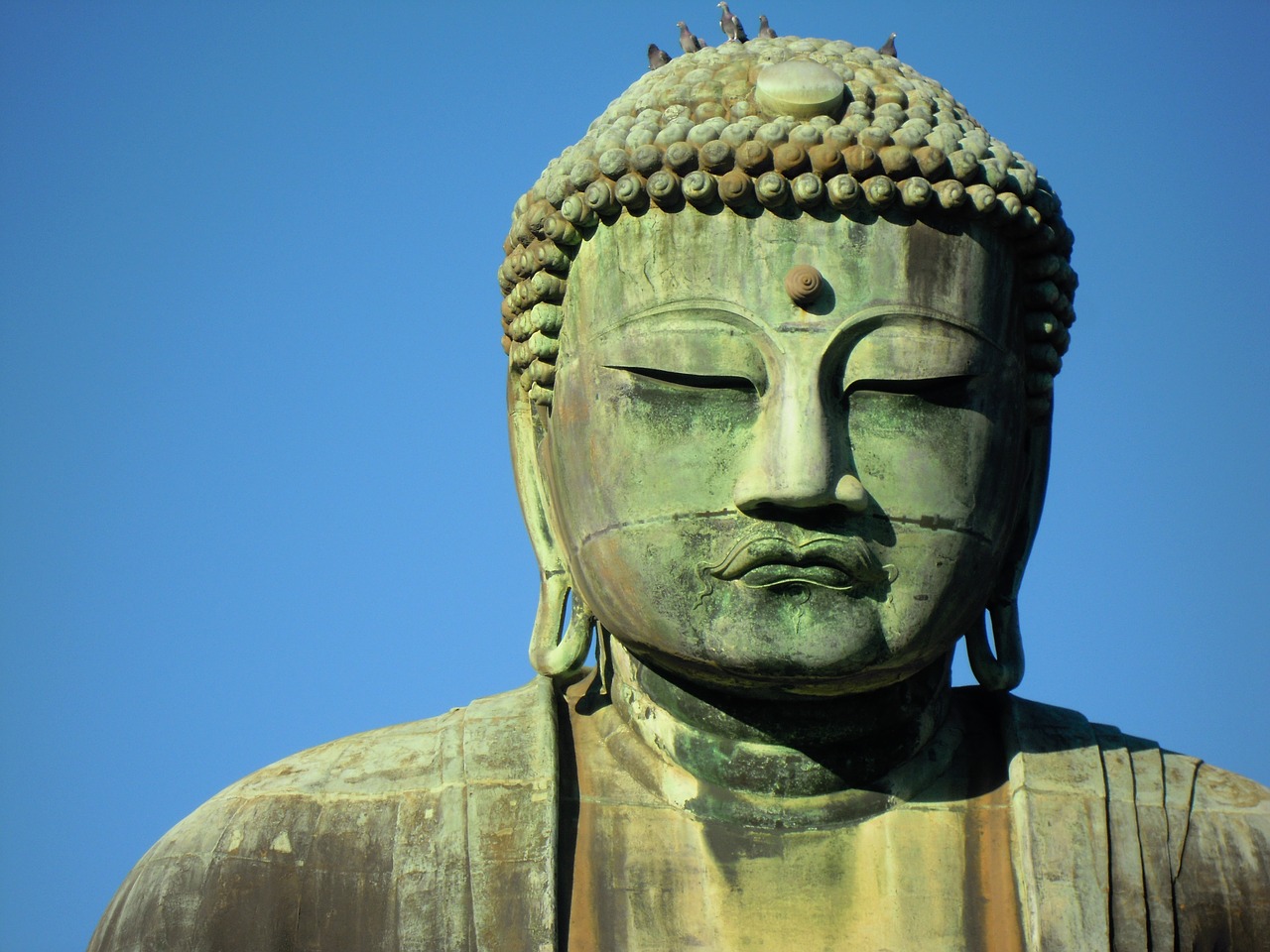 kamakura great buddha of kamakura big buddha free photo