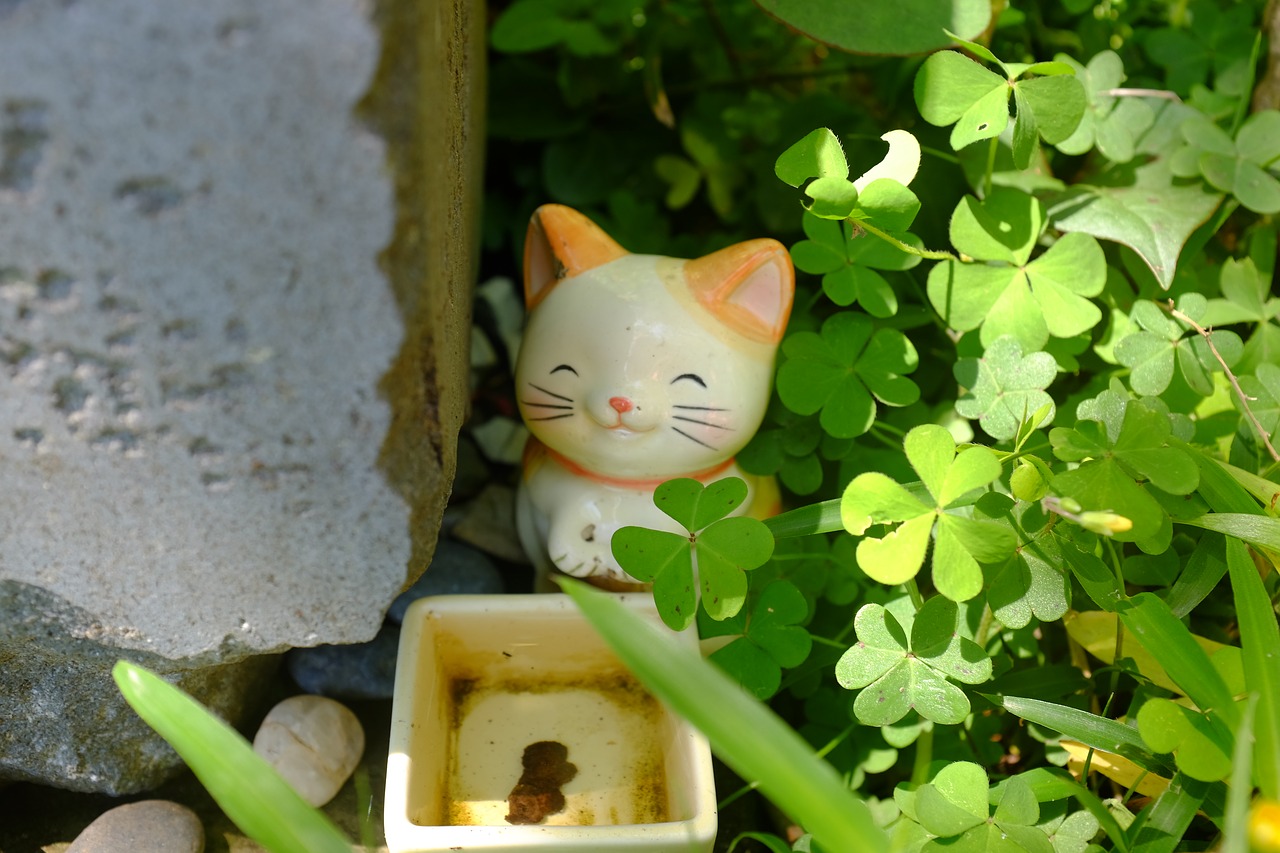 kamakura japan the scenery free photo