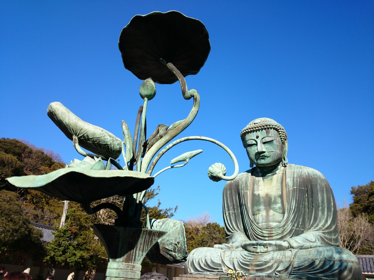 kamakura buddha japan free photo