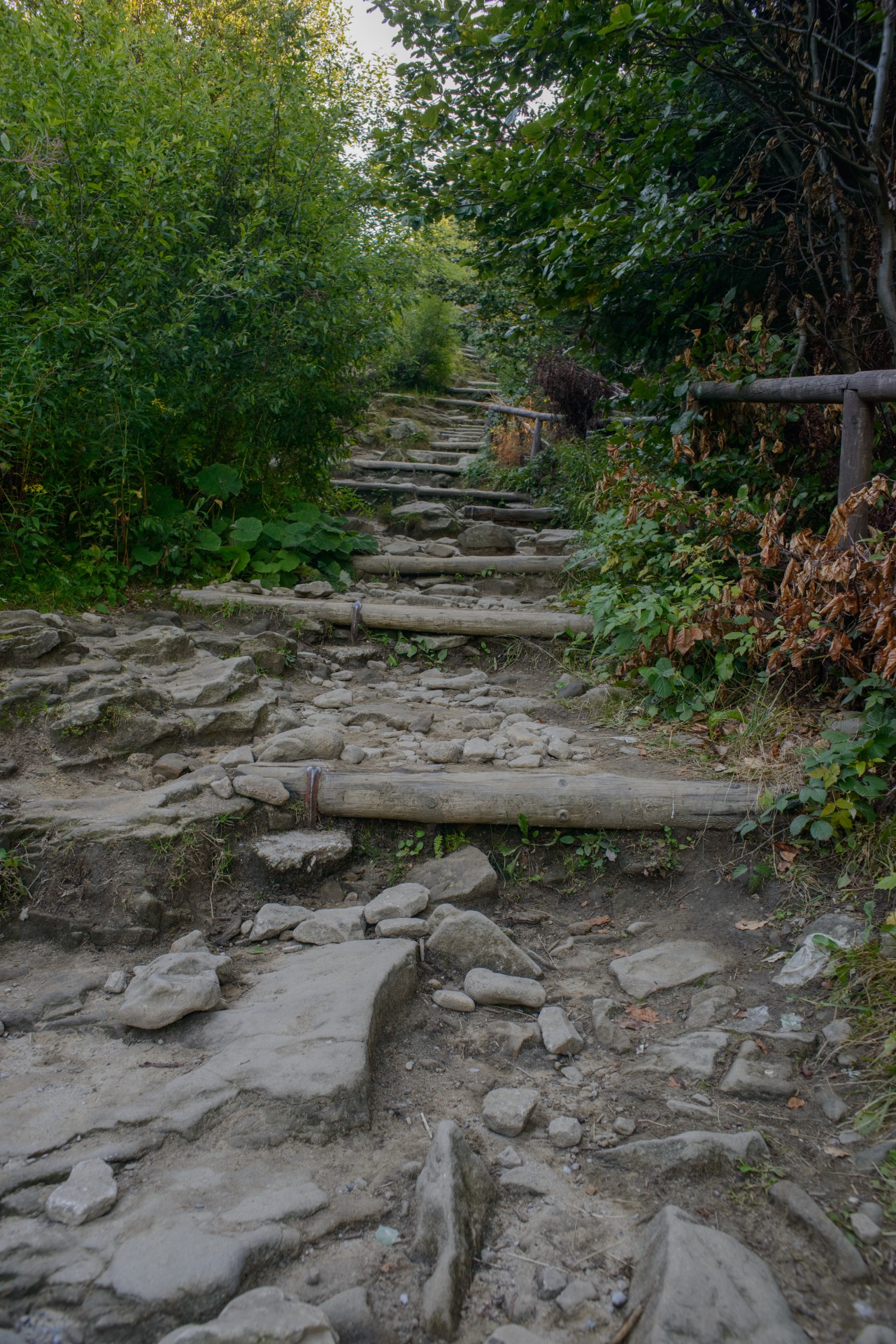 rocky path stairs free photo