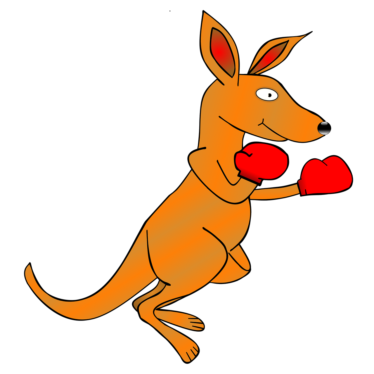 kangaroo clip art boxing gloves free photo