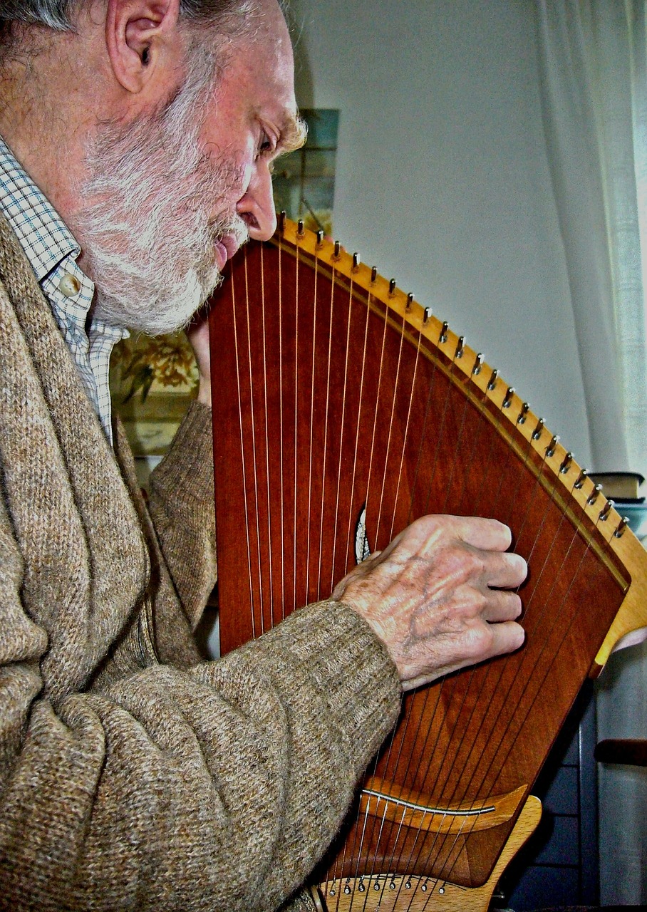 kantele musician stringed instrument free photo