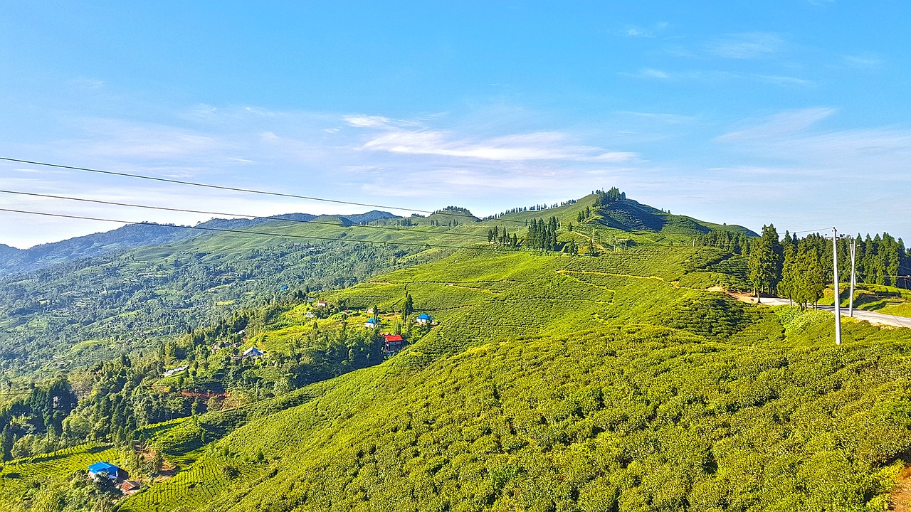 kanyam ilam nepal free photo