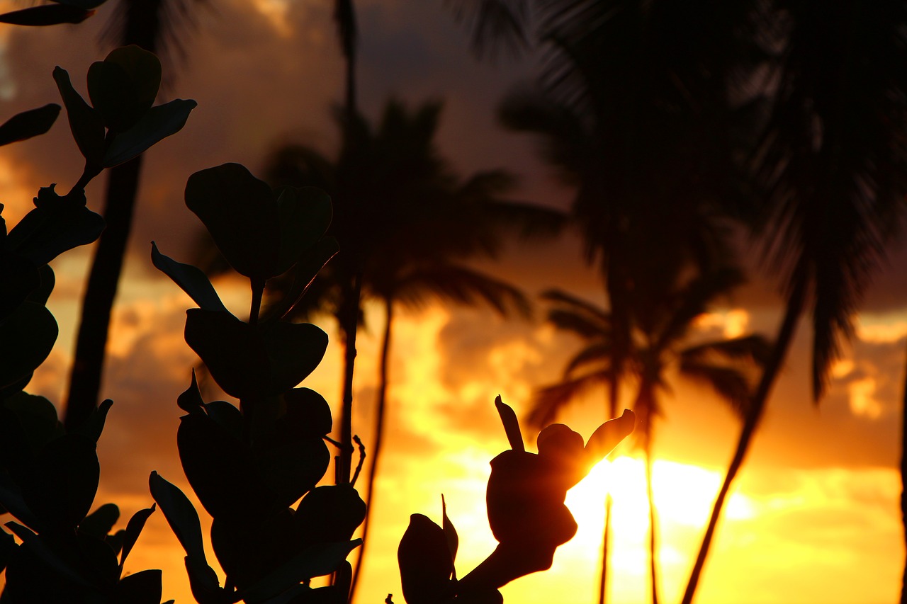 kapa'a  kauai  hawaii free photo