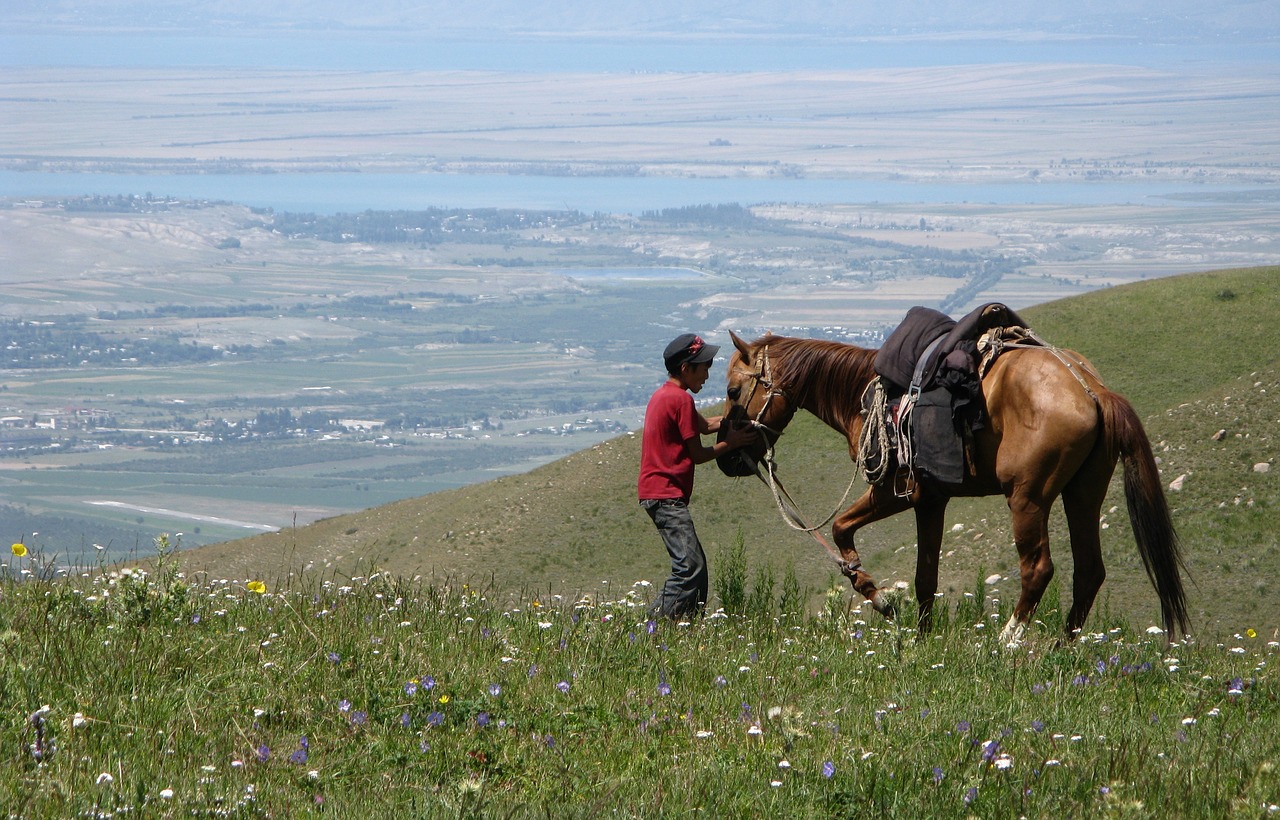 karakol kyrgyzstan horse free photo