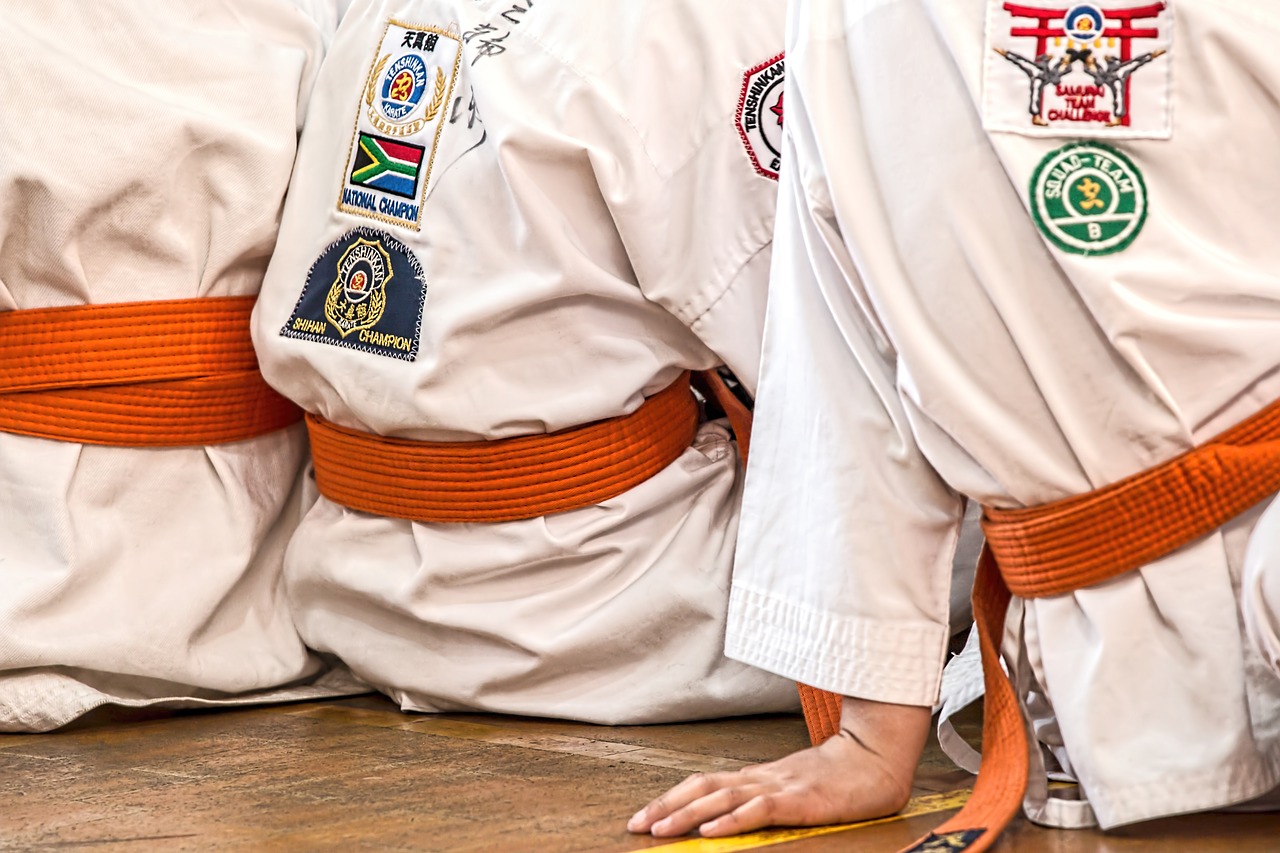 karate martial arts sport free photo