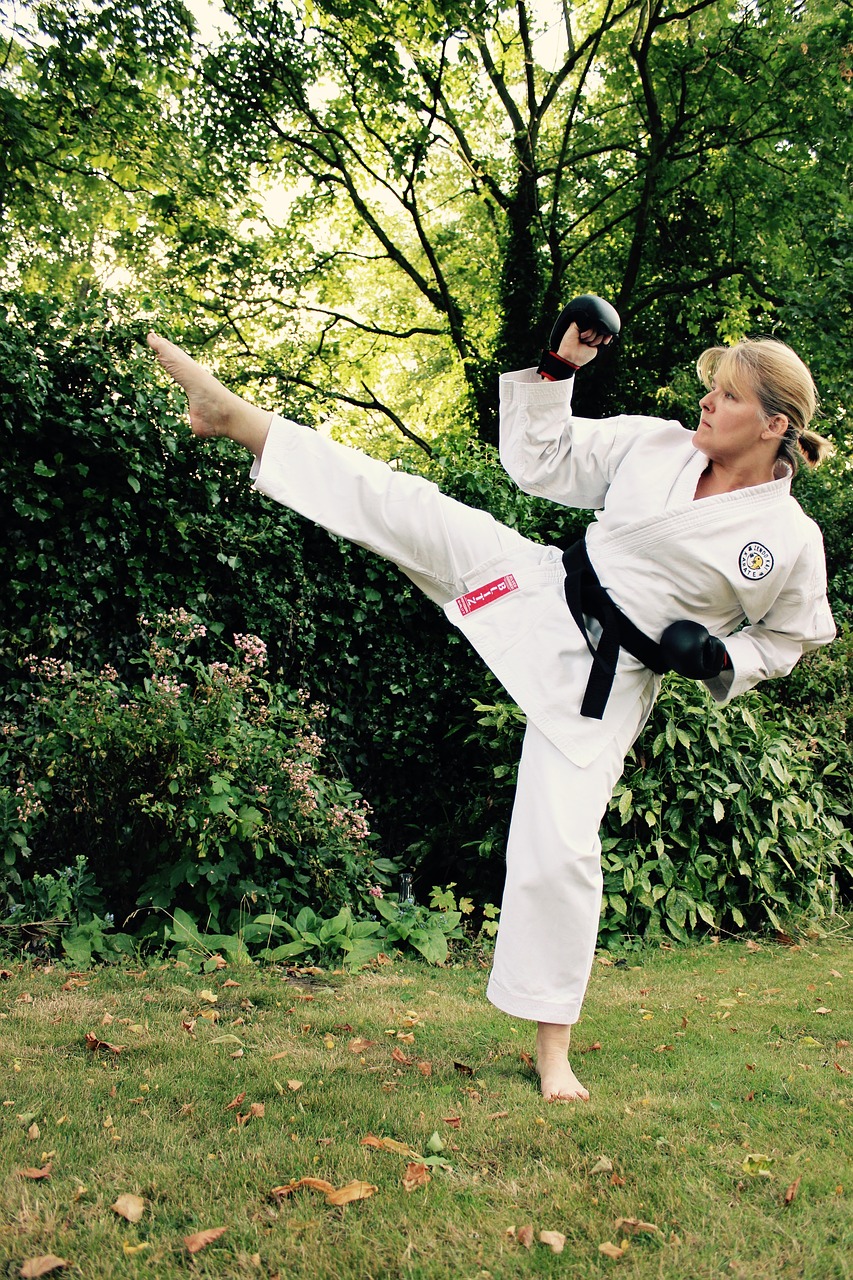 karate kick sport free photo