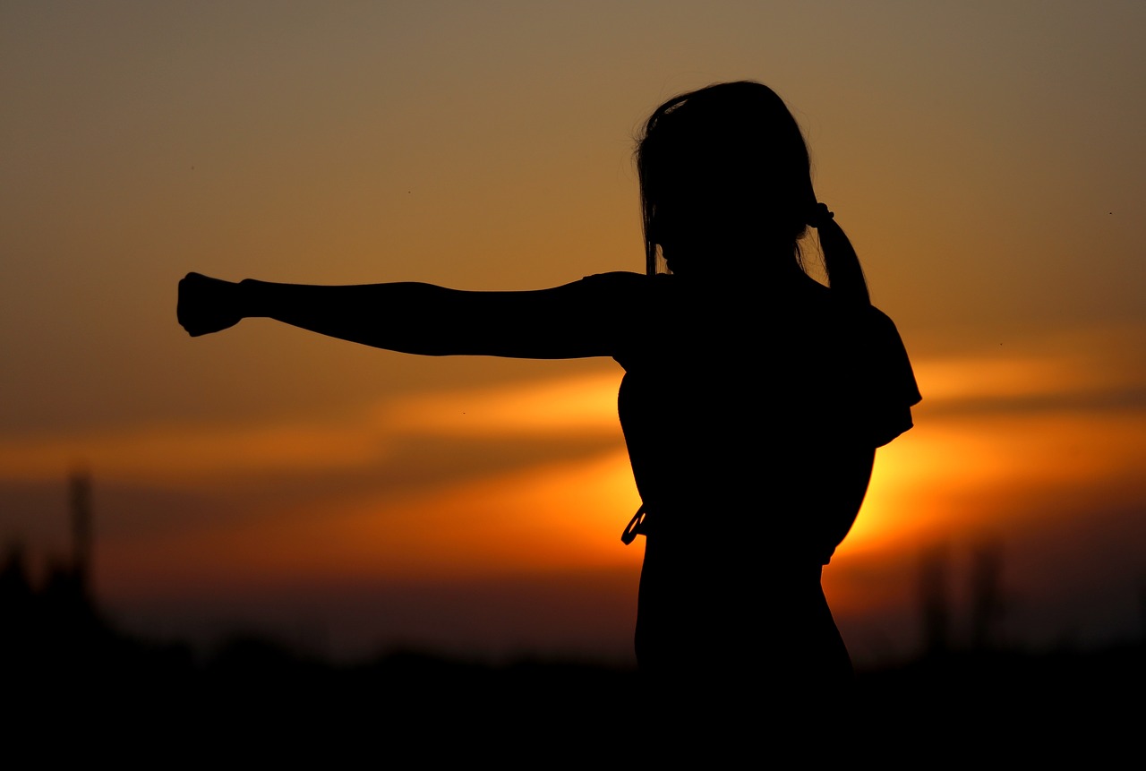 karate sunset fight free photo