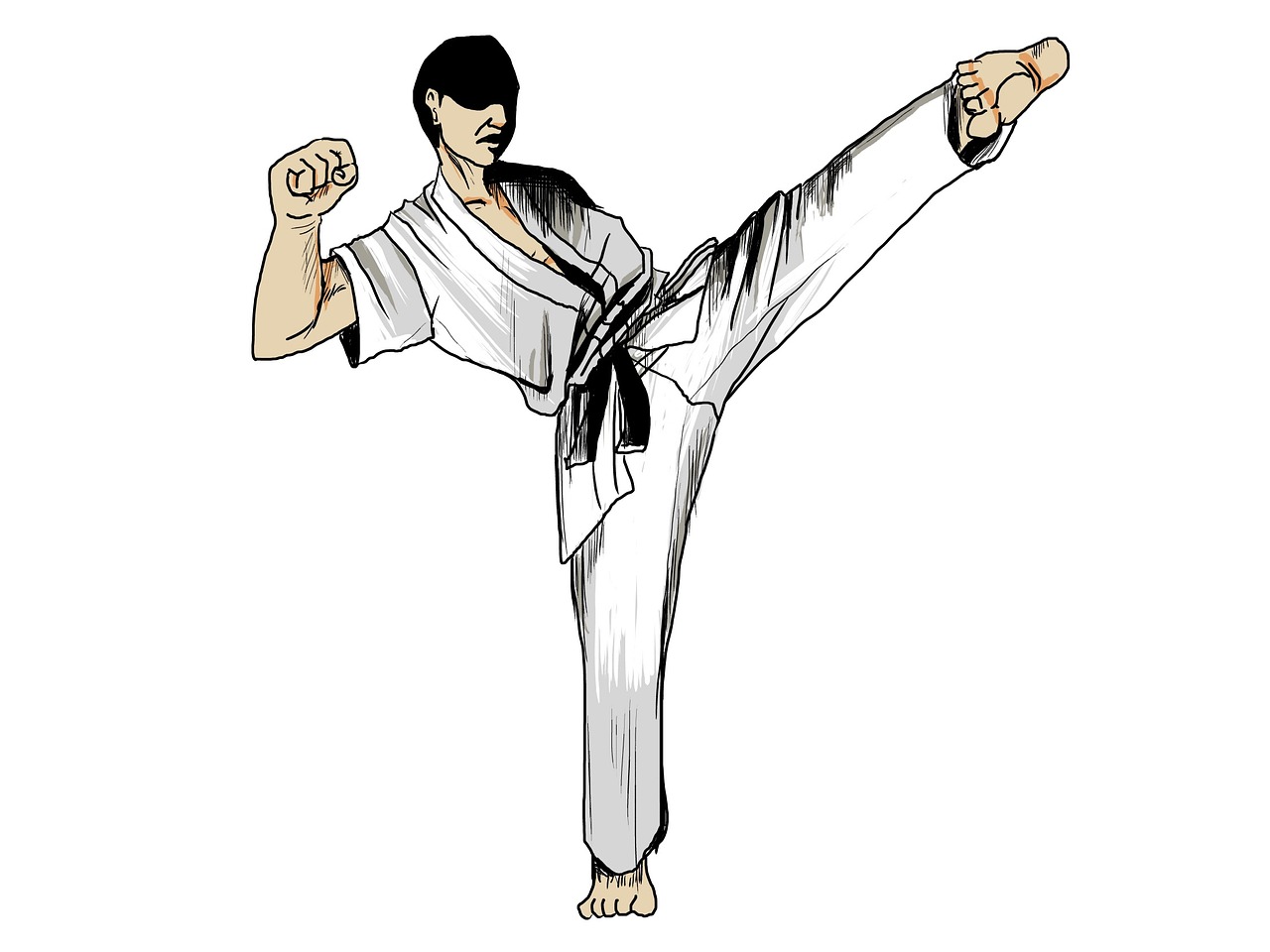 karate martial arts sports free photo