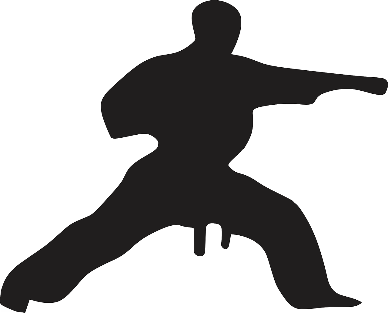 karate martial arts free photo