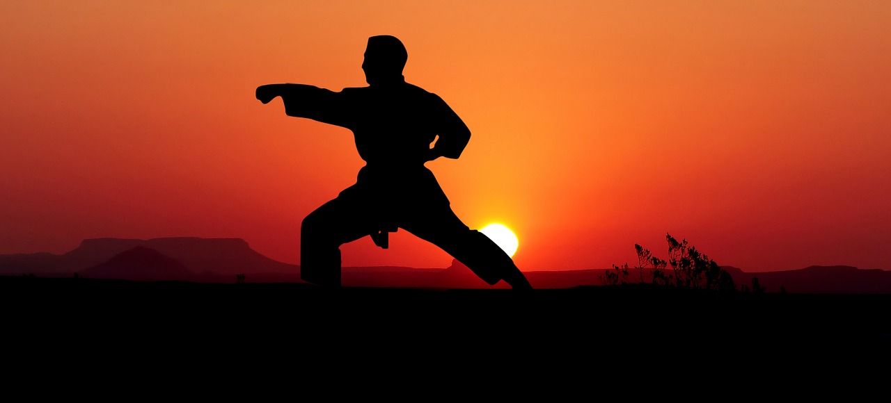 karate  kata  sport free photo