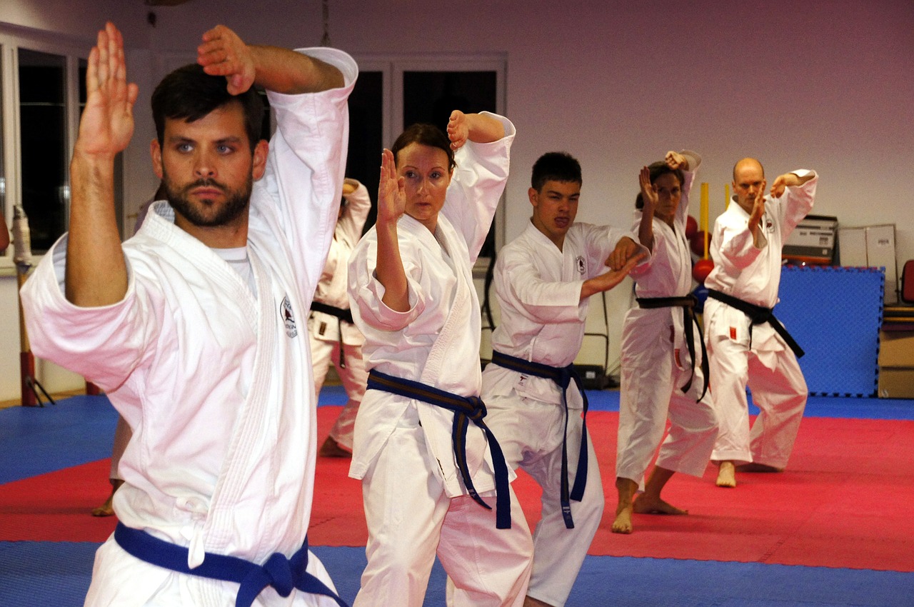 karate martial arts sport free photo