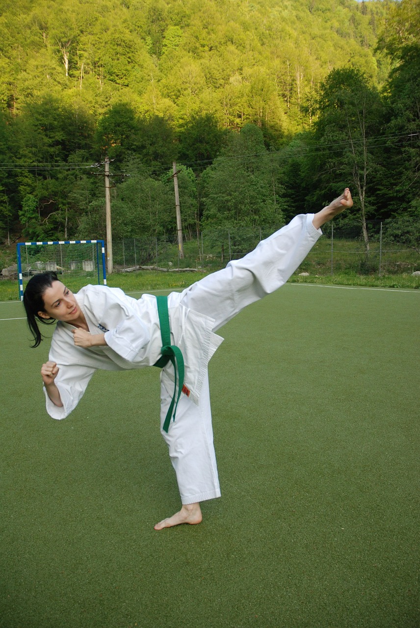 karate kick girl free photo